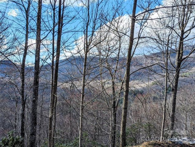 0 Dodgen Ridge Road, Tuckasegee, NC, 28783