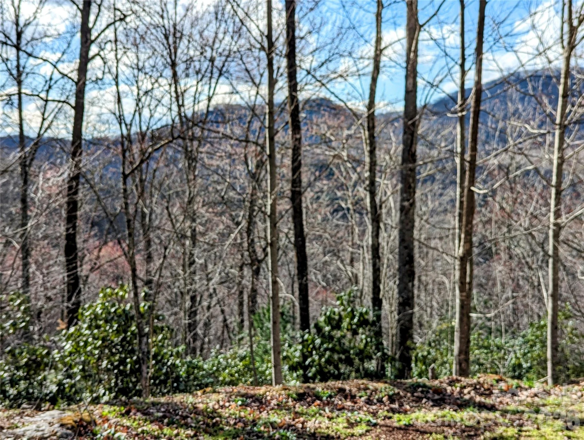 0 Dodgen Ridge Road - Photo 2