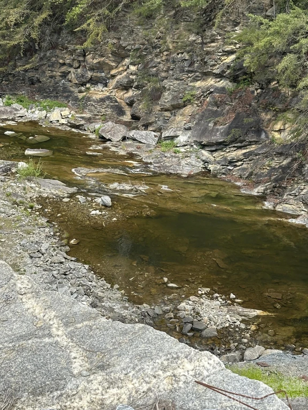 0 Dodgen Ridge Road - Photo 12