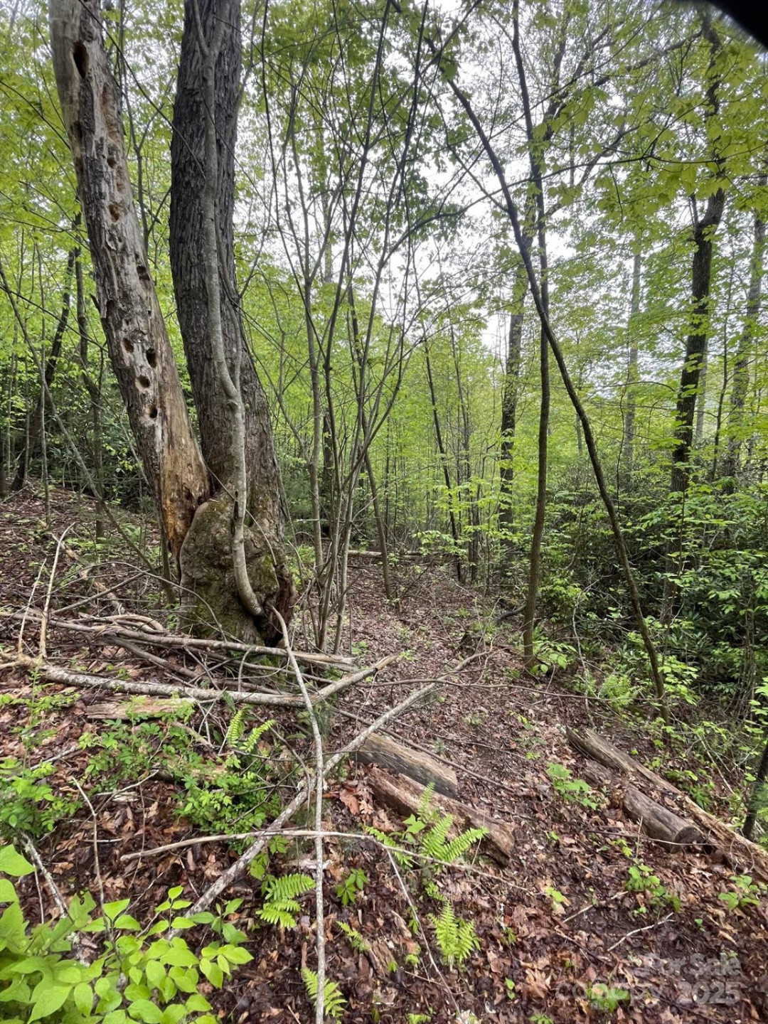 0 Dodgen Ridge Road - Photo 18