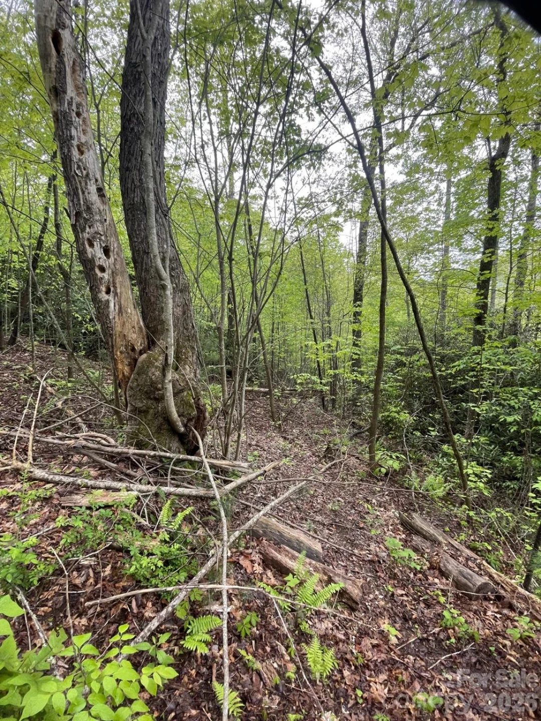 0 Dodgen Ridge Road - Photo 18