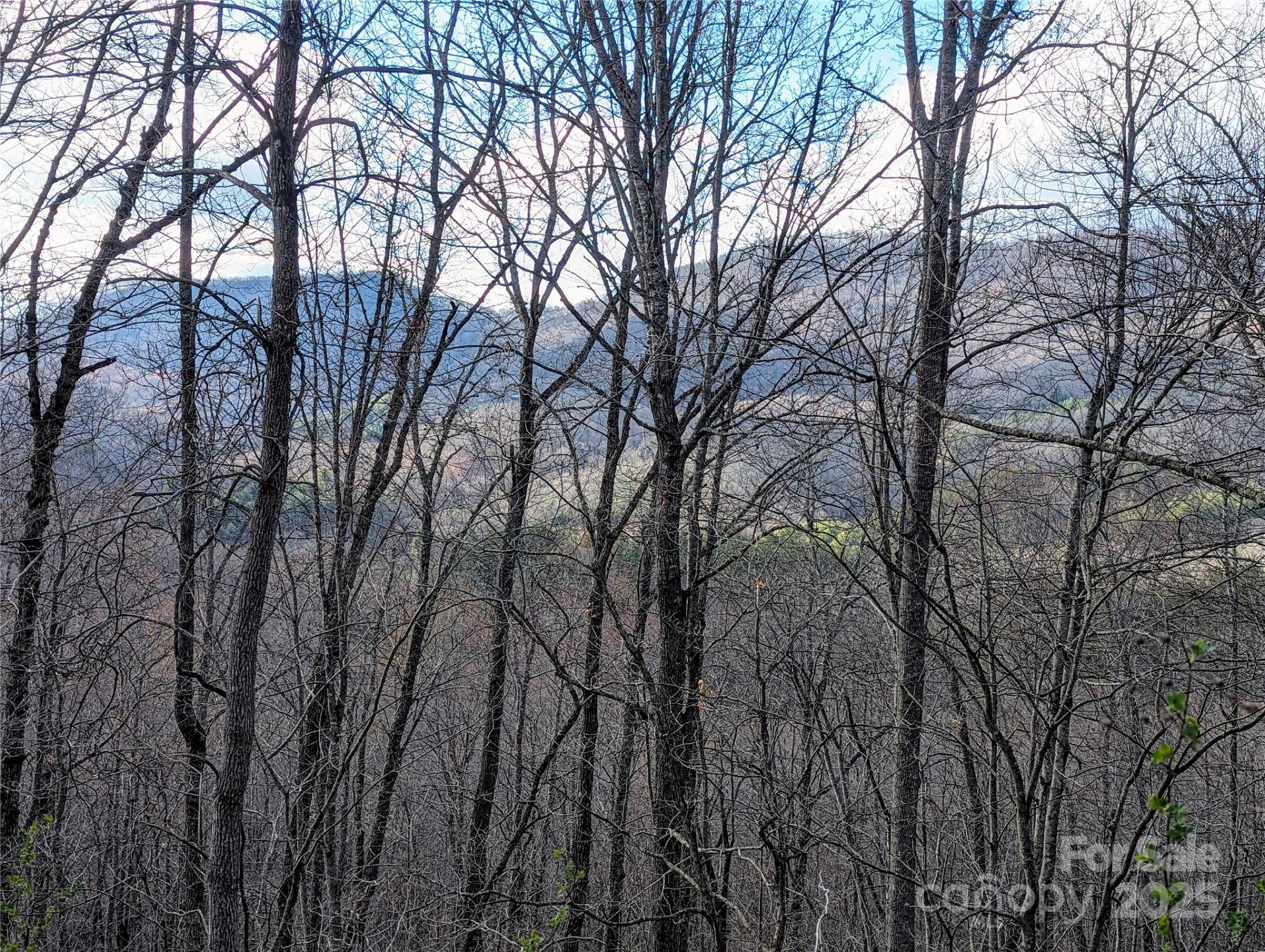 0 Dodgen Ridge Road - Photo 3