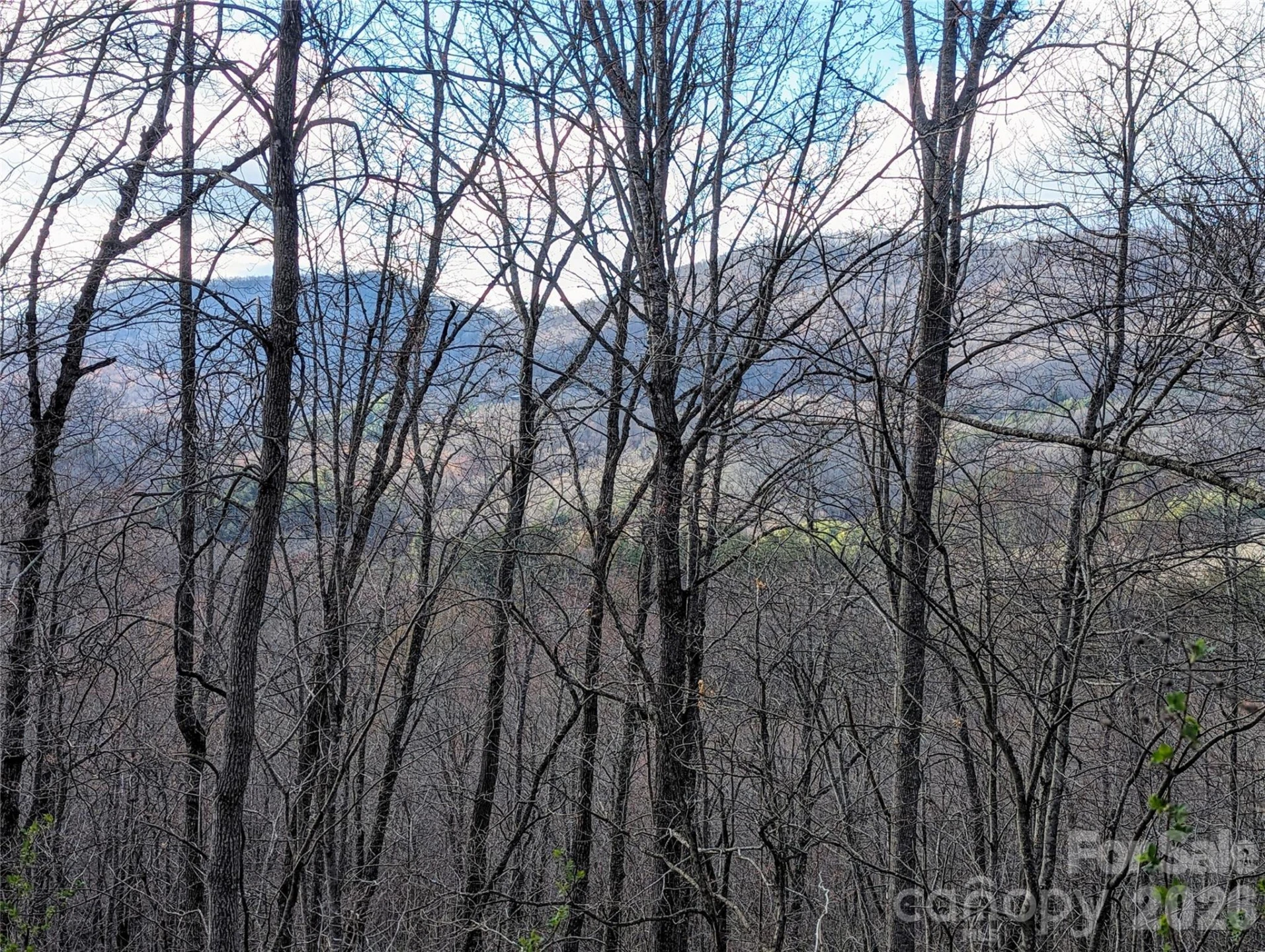 0 Dodgen Ridge Road - Photo 3