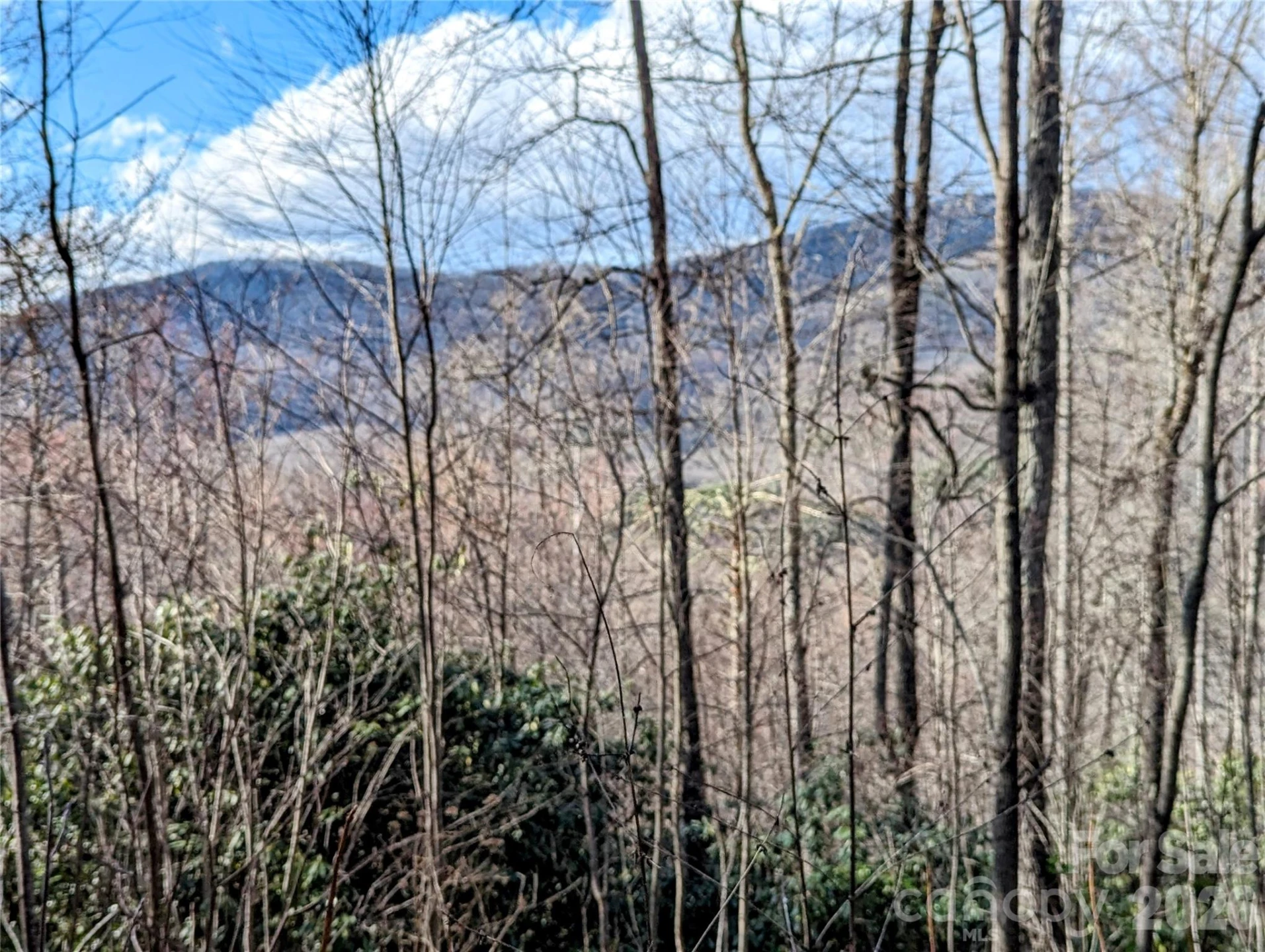 0 Dodgen Ridge Road - Photo 4