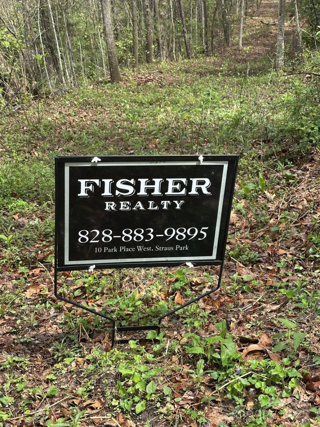 0 Dodgen Ridge Road - Photo 5