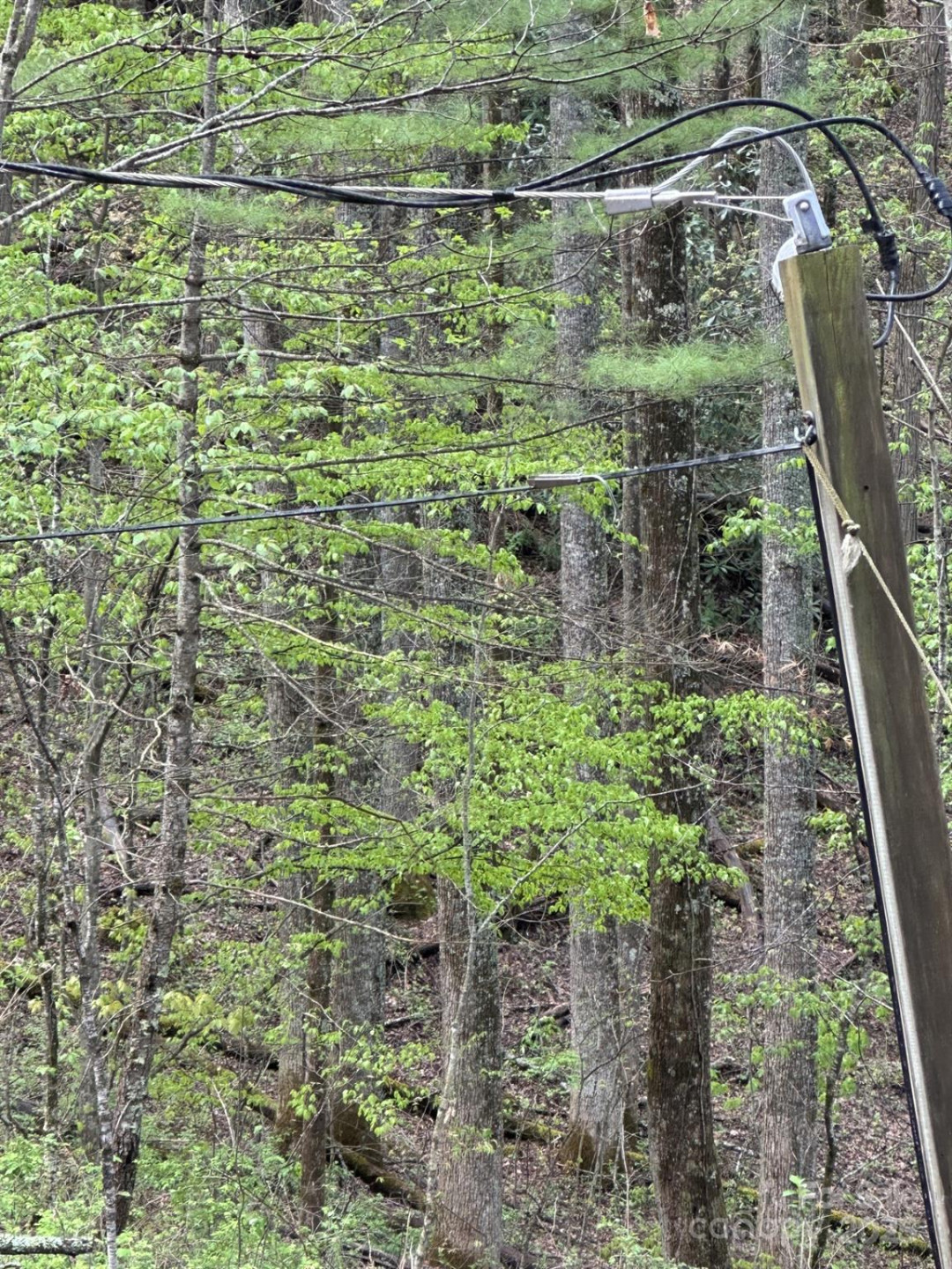 0 Dodgen Ridge Road - Photo 7