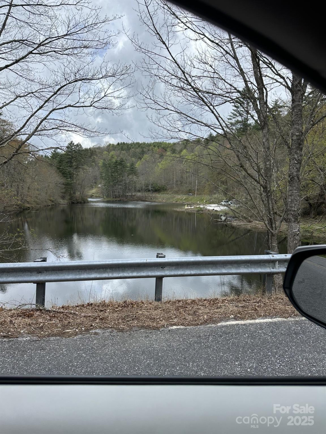 0 Dodgen Ridge Road - Photo 10