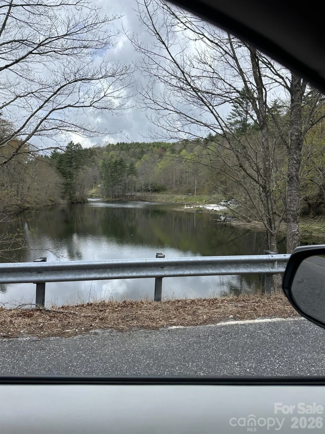 0 Dodgen Ridge Road - Photo 10