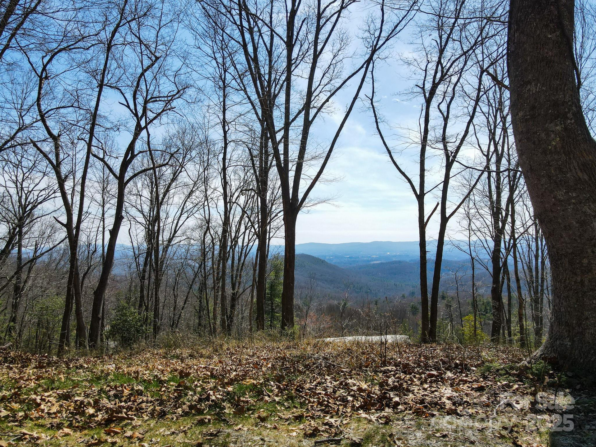 99999 New Sprout Lane #2 - Photo 16