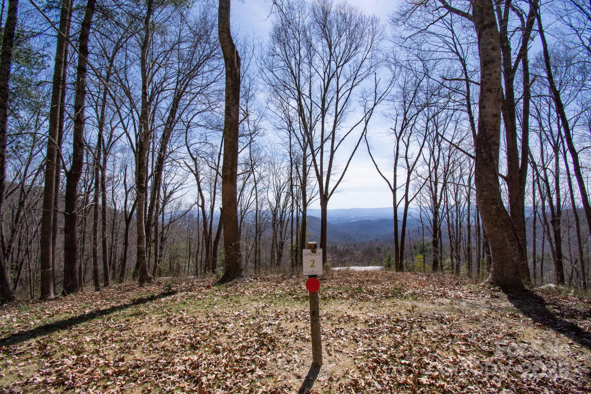 99999 New Sprout Lane #2 - Photo 17