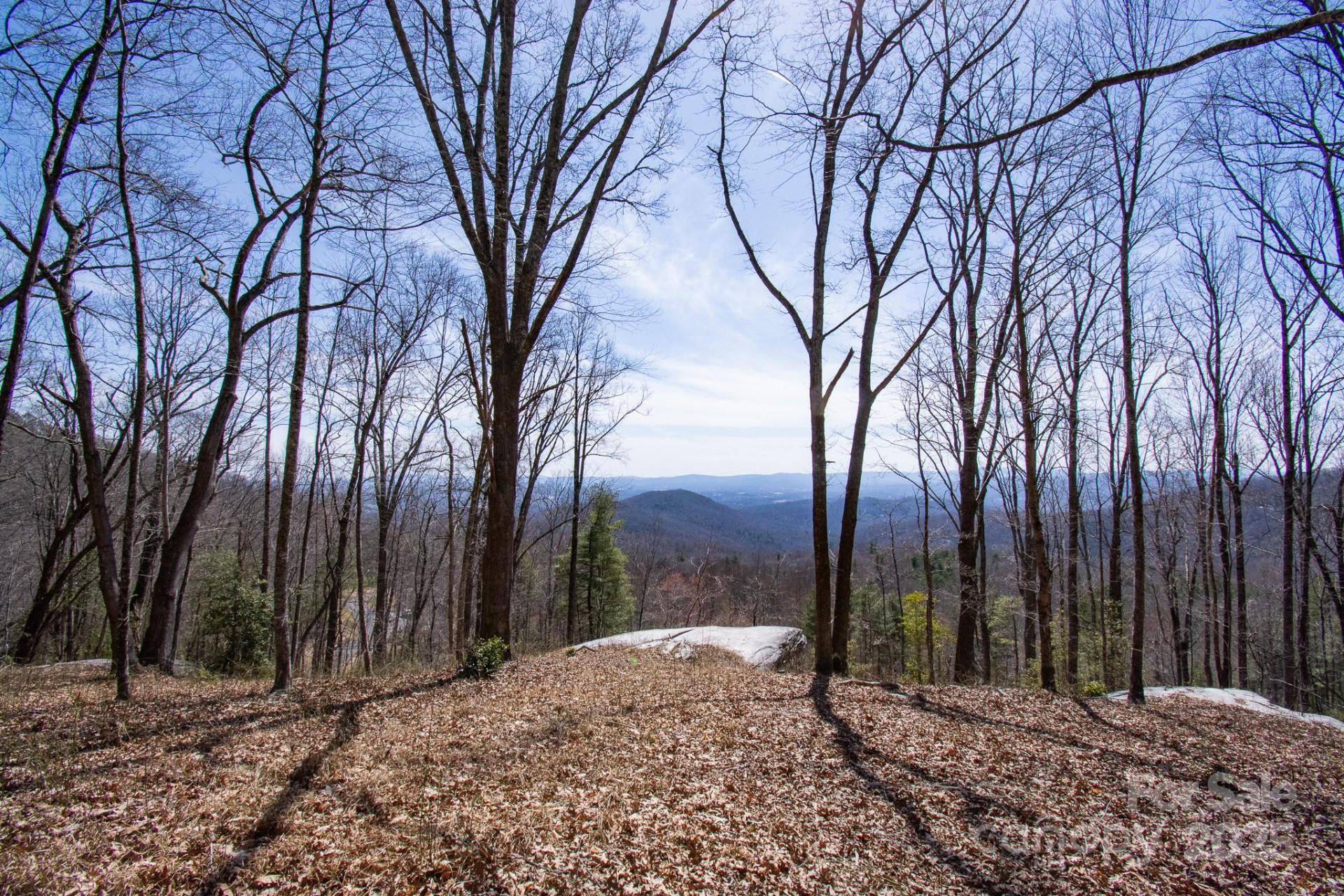 99999 New Sprout Lane #2 - Photo 18