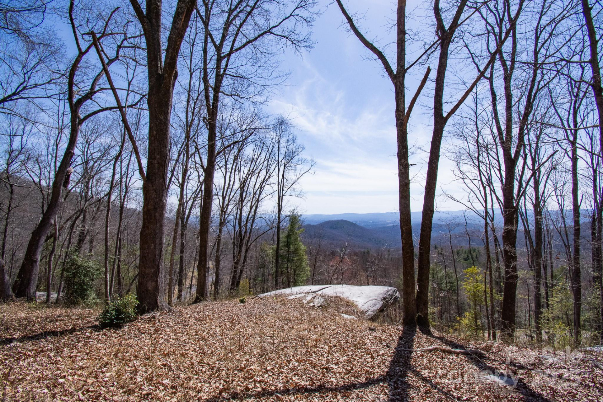 99999 New Sprout Lane #2 - Photo 19