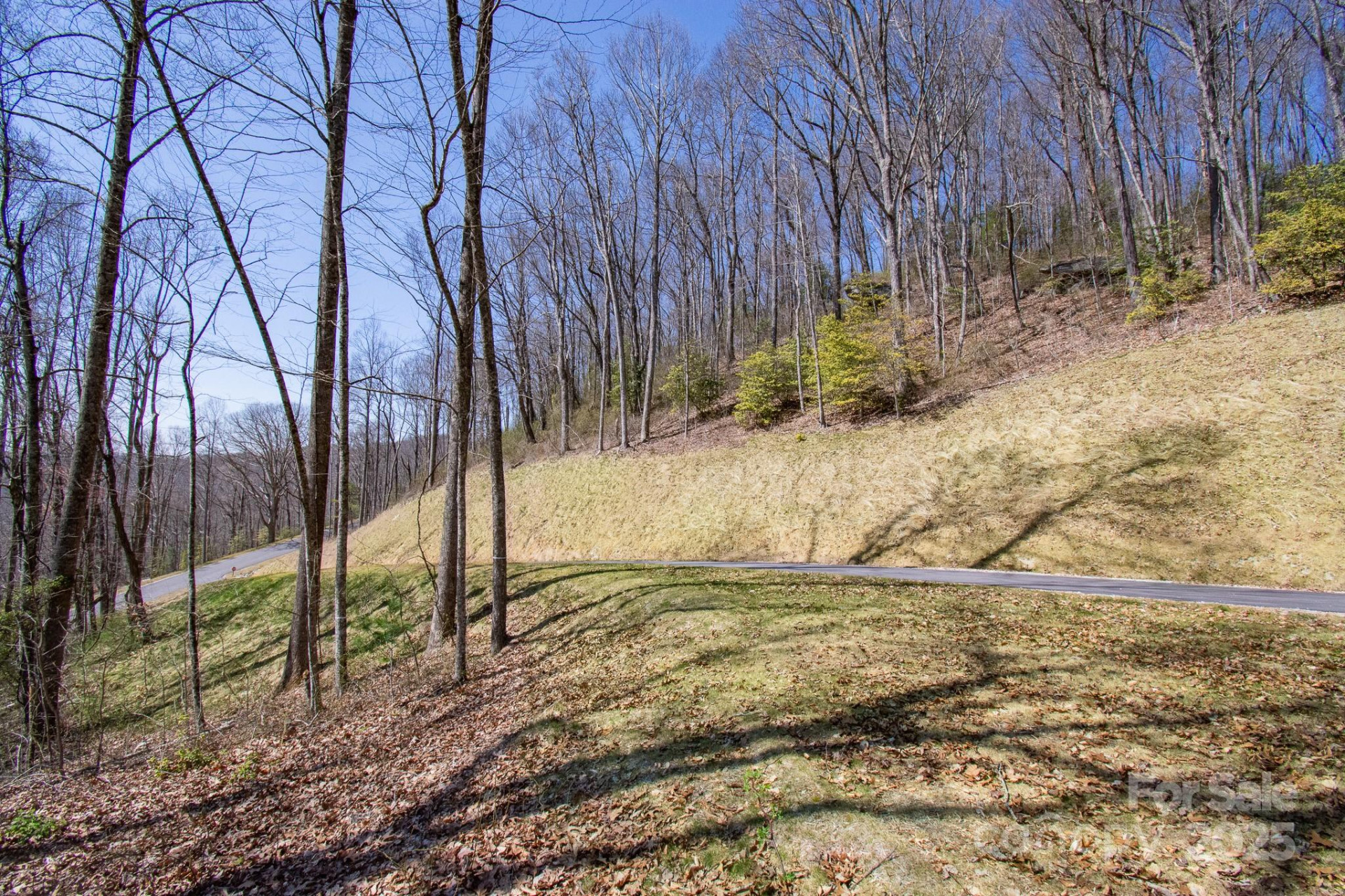 99999 New Sprout Lane #2 - Photo 22