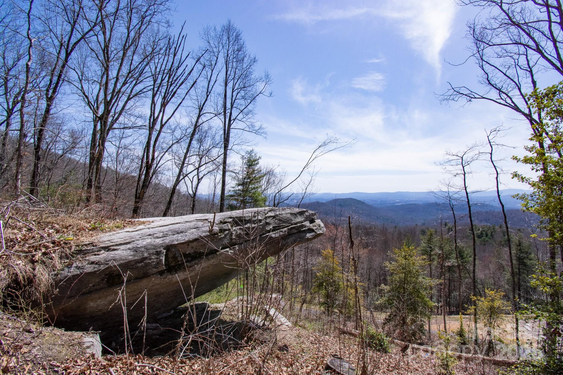 99999 New Sprout Lane #2 - Photo 28