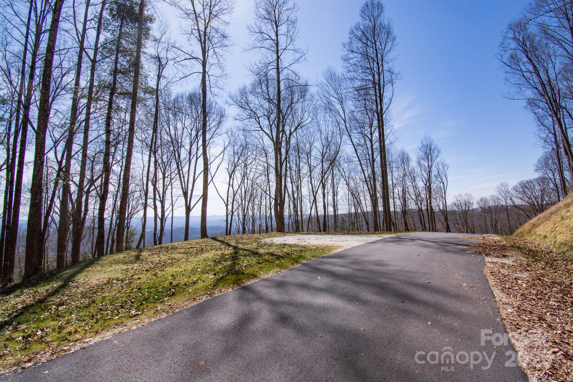 99999 New Sprout Lane #2 - Photo 29