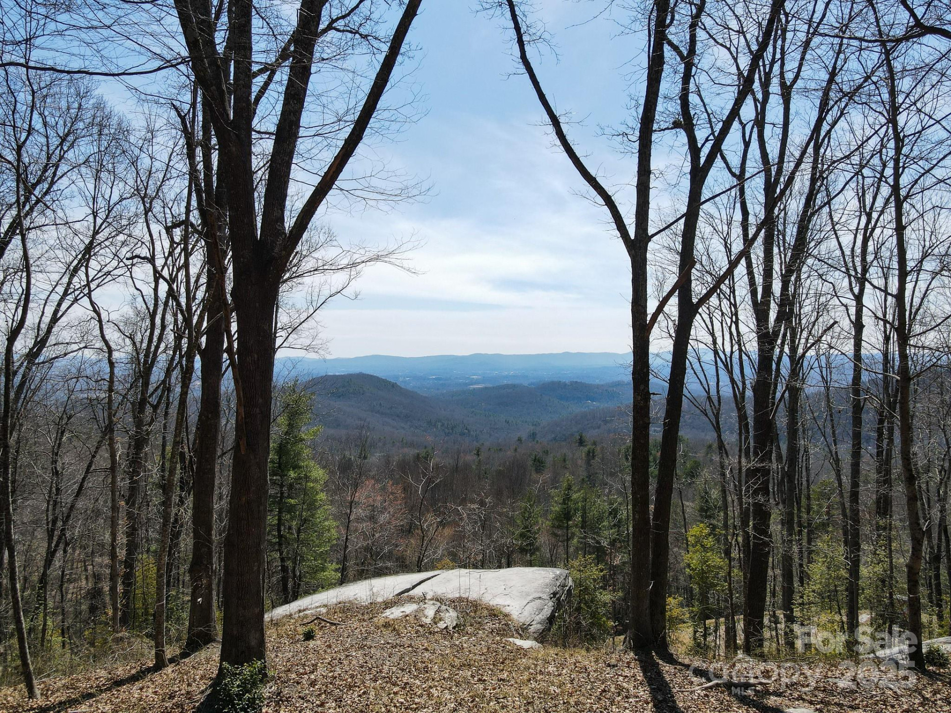 99999 New Sprout Lane #2 - Photo 4