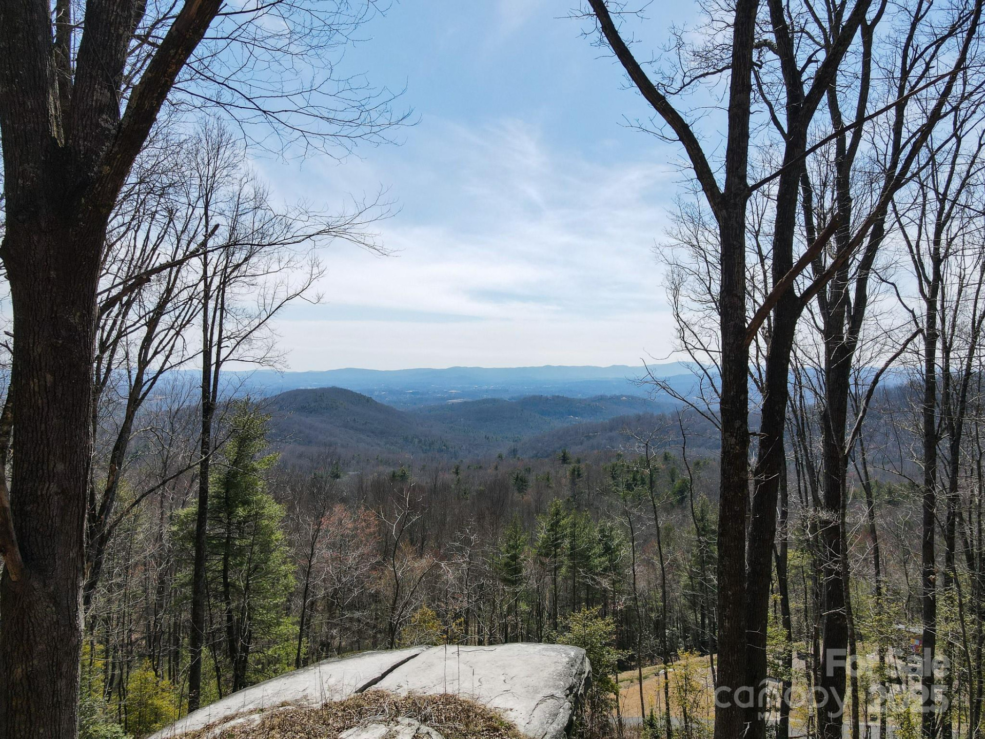 99999 New Sprout Lane #2 - Photo 10