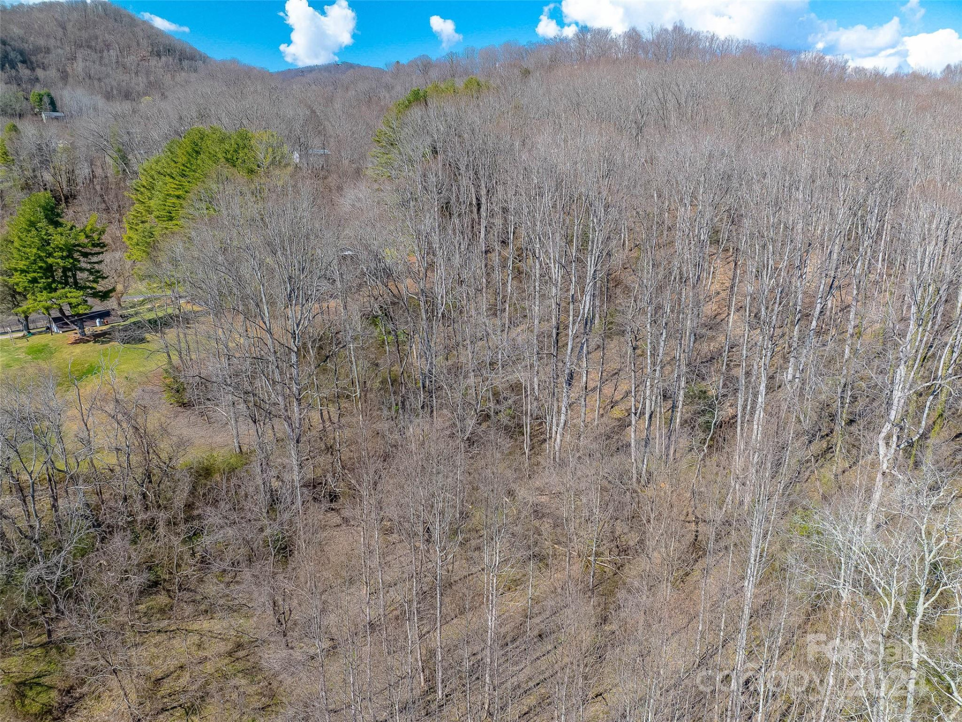 00 Russ Avenue - Photo 8