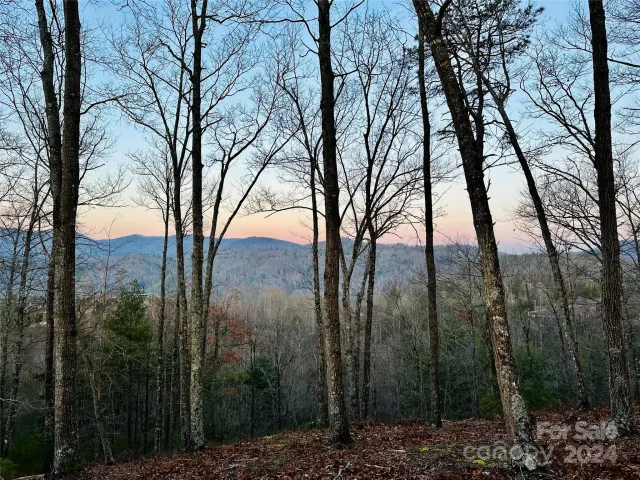 75 Raccoon Run