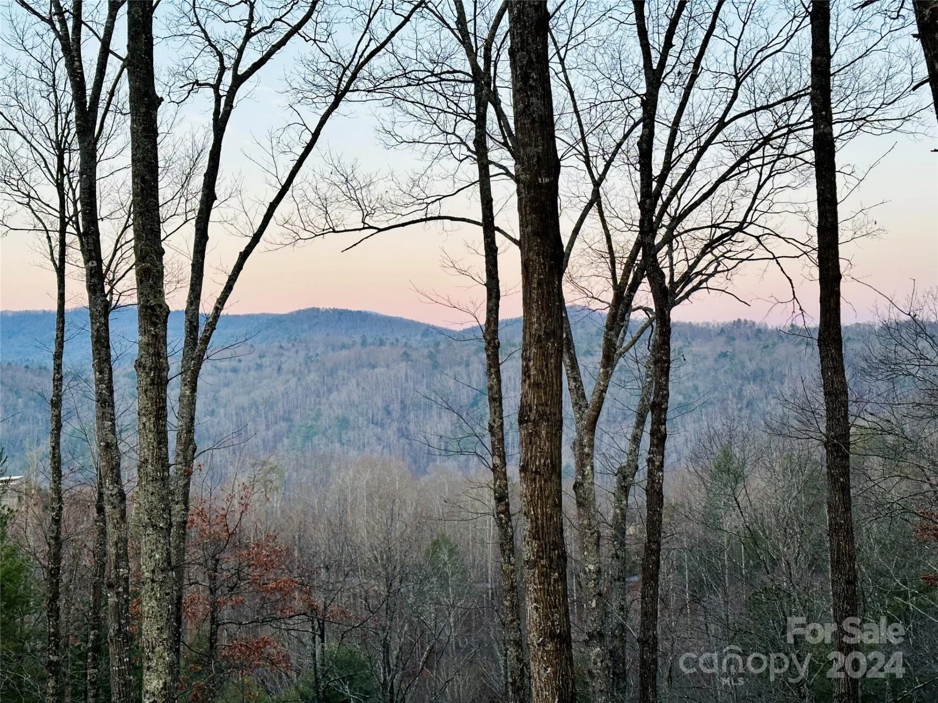 75 Raccoon Run #22 - Photo 2