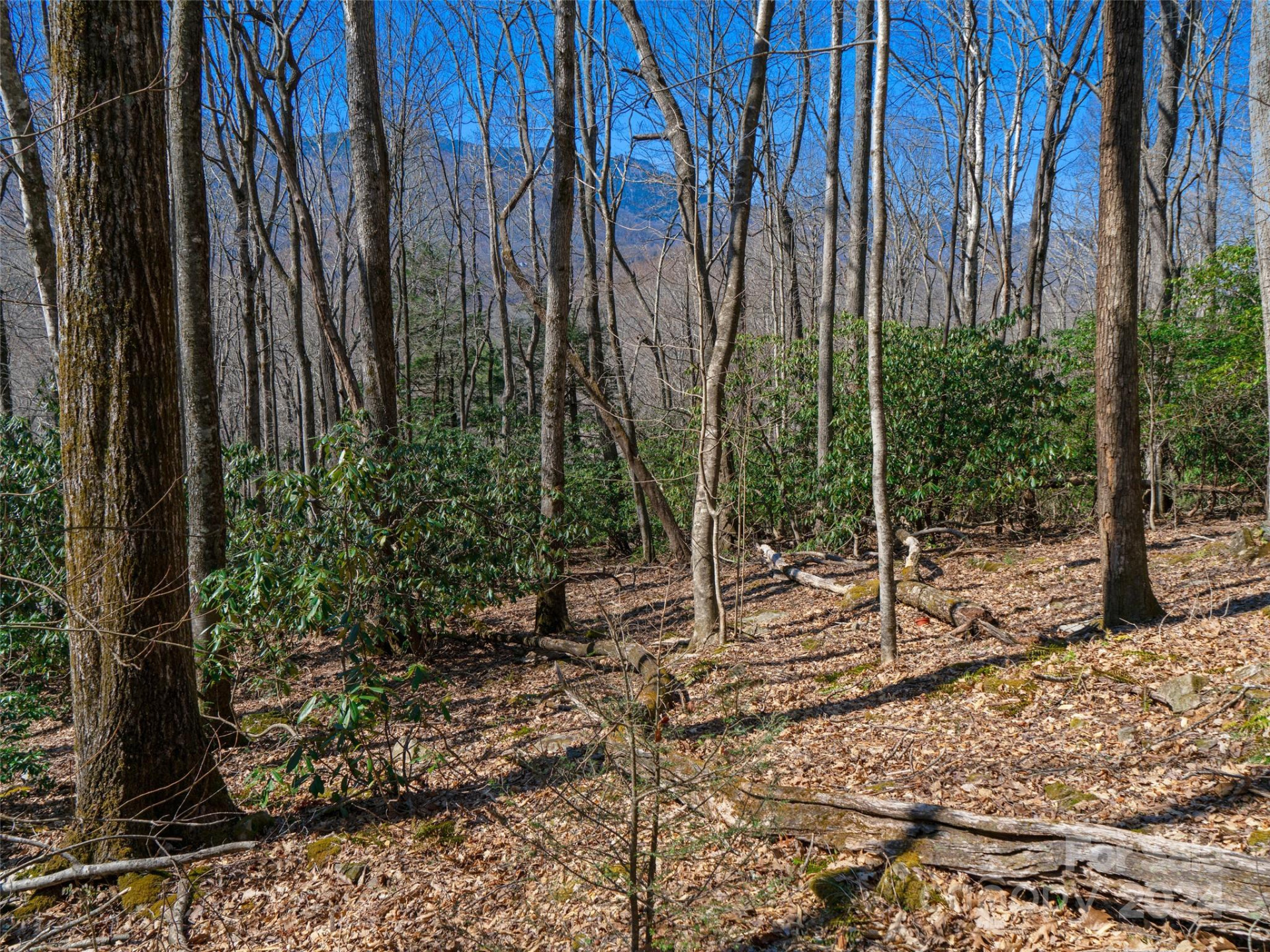 000 Big Ridge Road #62 & 63 - Photo 2