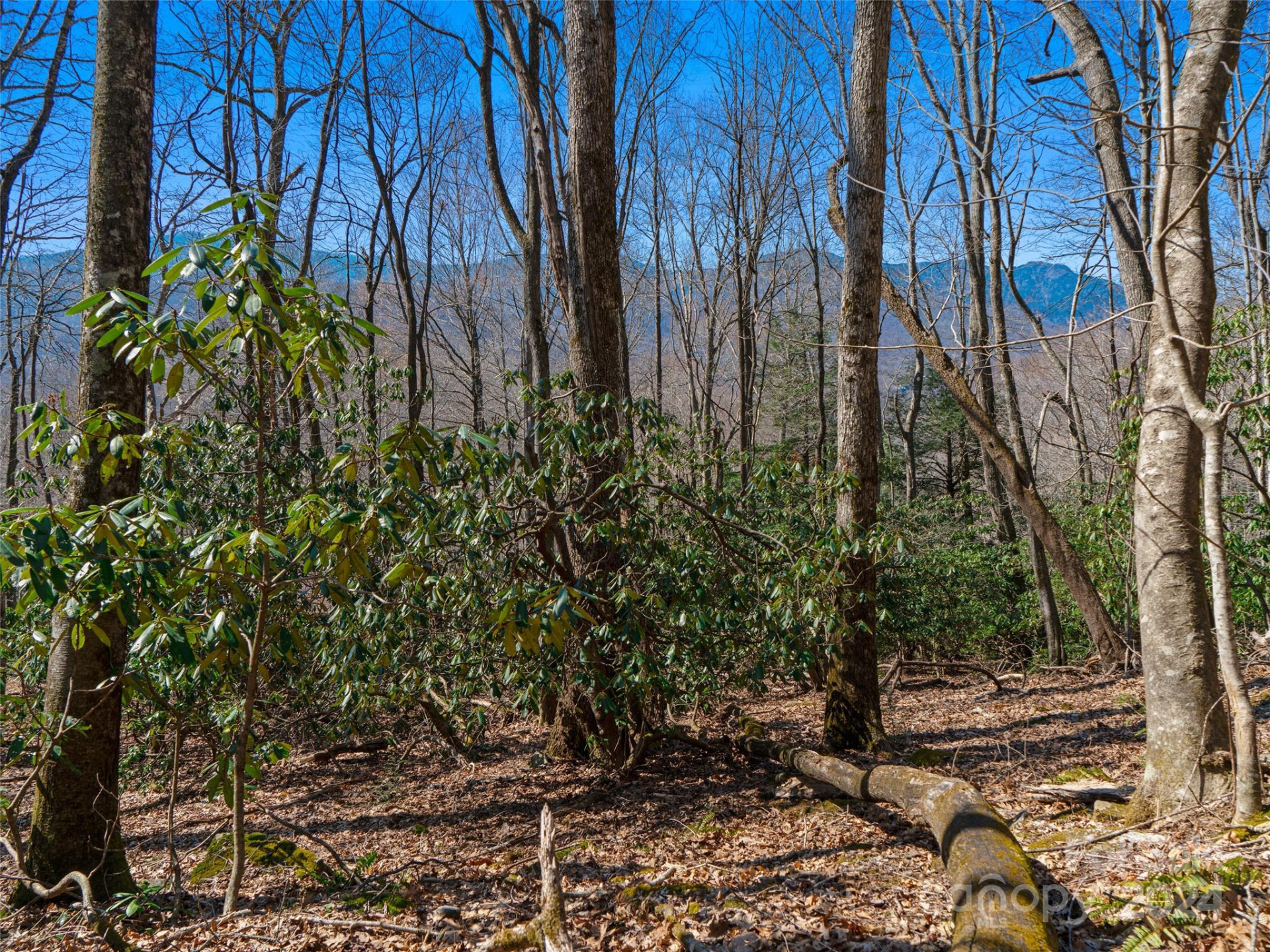 000 Big Ridge Road #62 & 63 - Photo 17