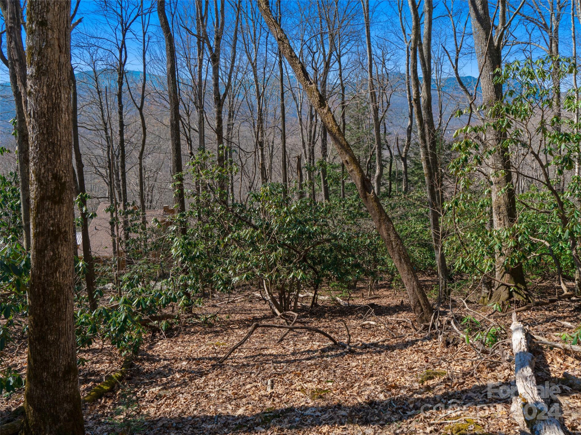 000 Big Ridge Road #62 & 63 - Photo 18