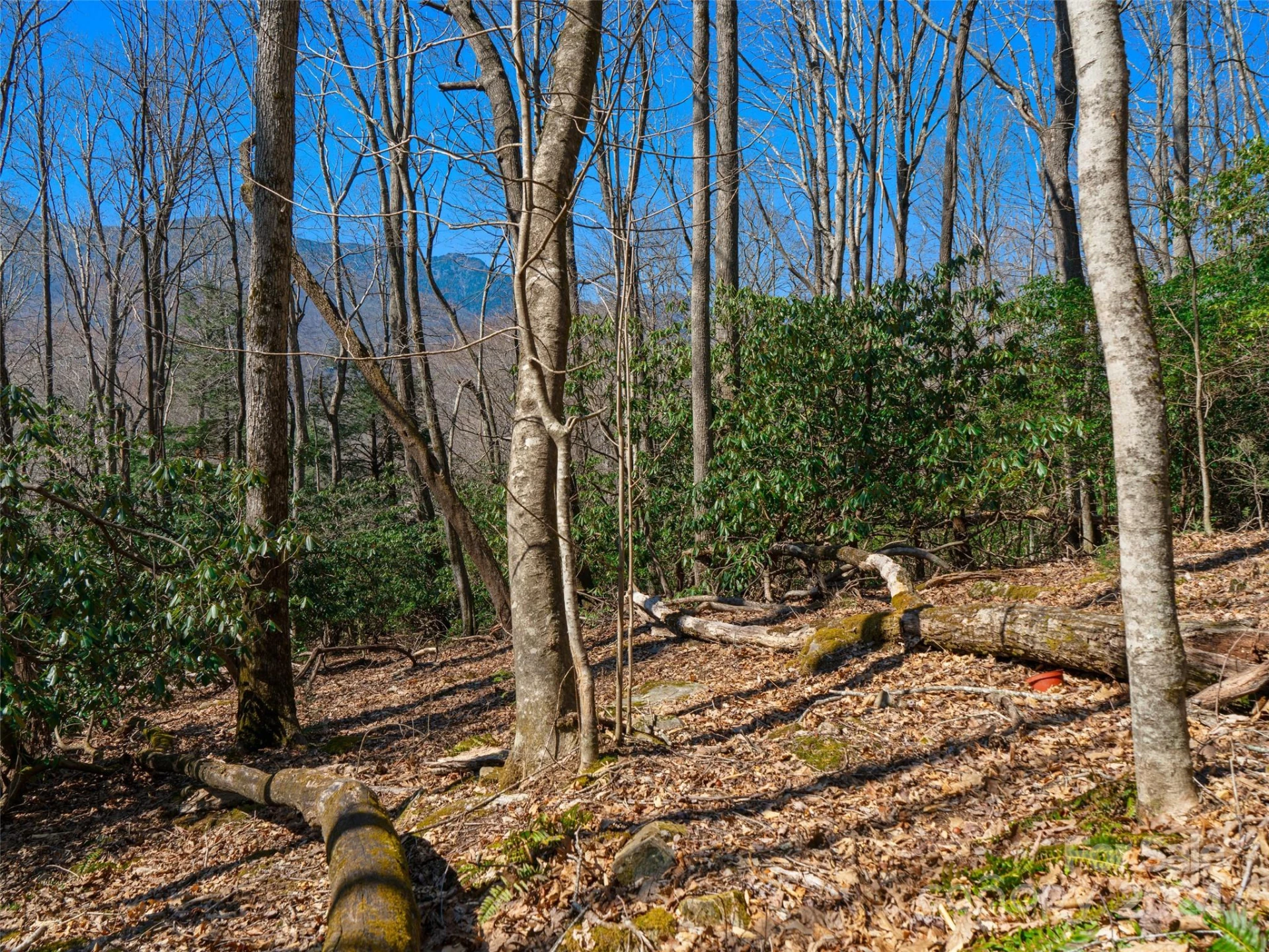 000 Big Ridge Road #62 & 63 - Photo 19