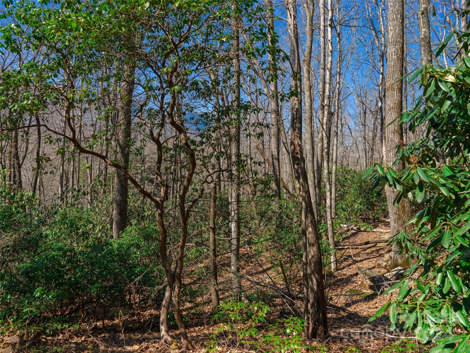 000 Big Ridge Road #62 & 63 - Photo 20