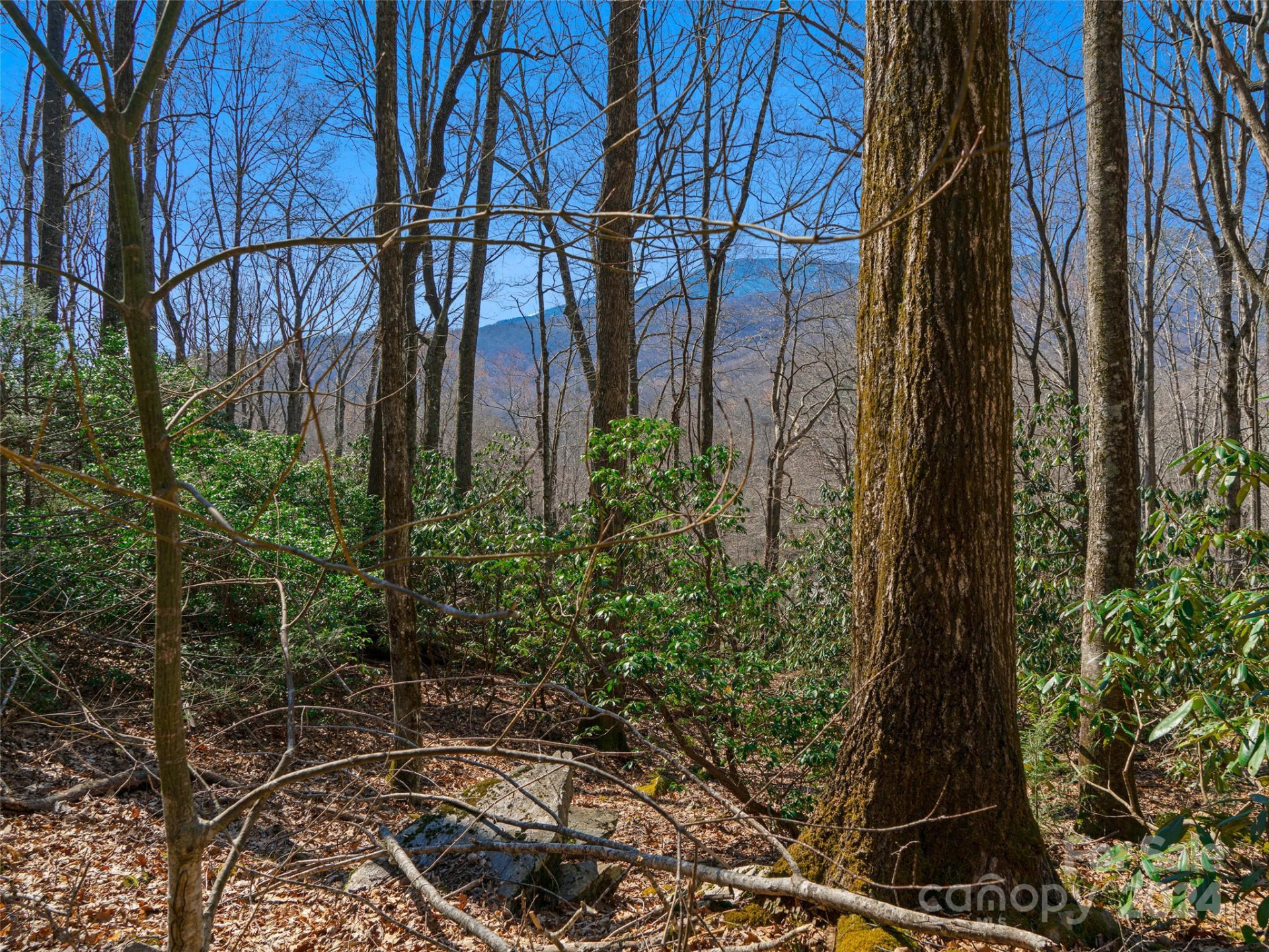 000 Big Ridge Road #62 & 63 - Photo 3