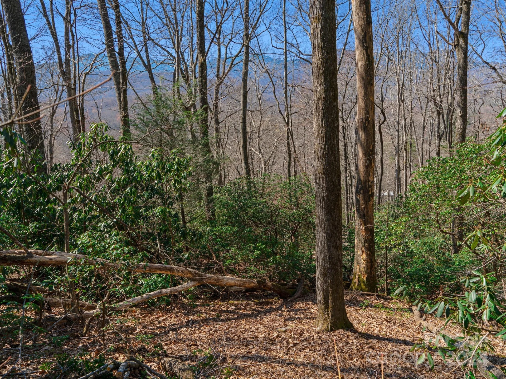000 Big Ridge Road #62 & 63 - Photo 21