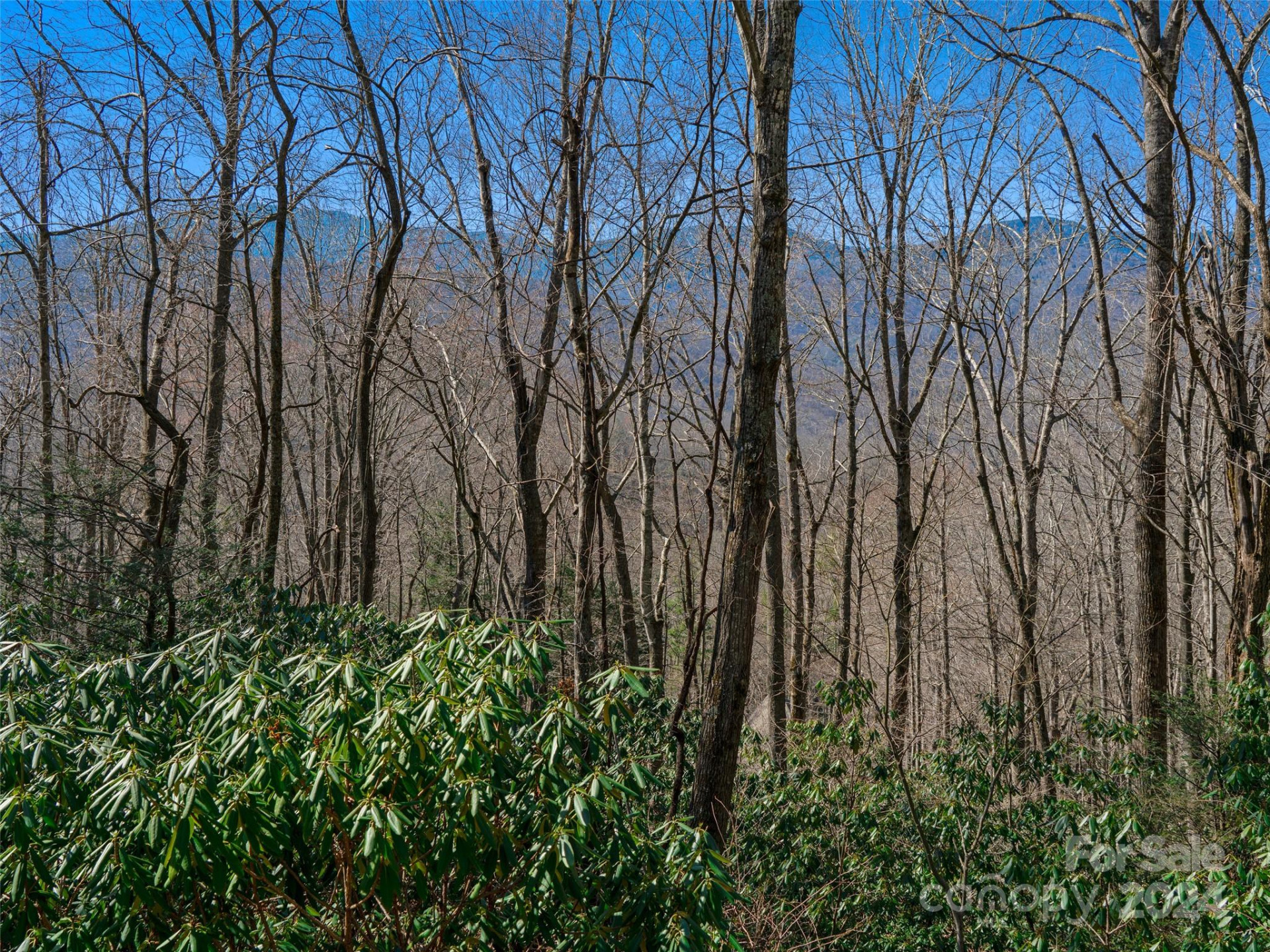 000 Big Ridge Road #62 & 63 - Photo 22