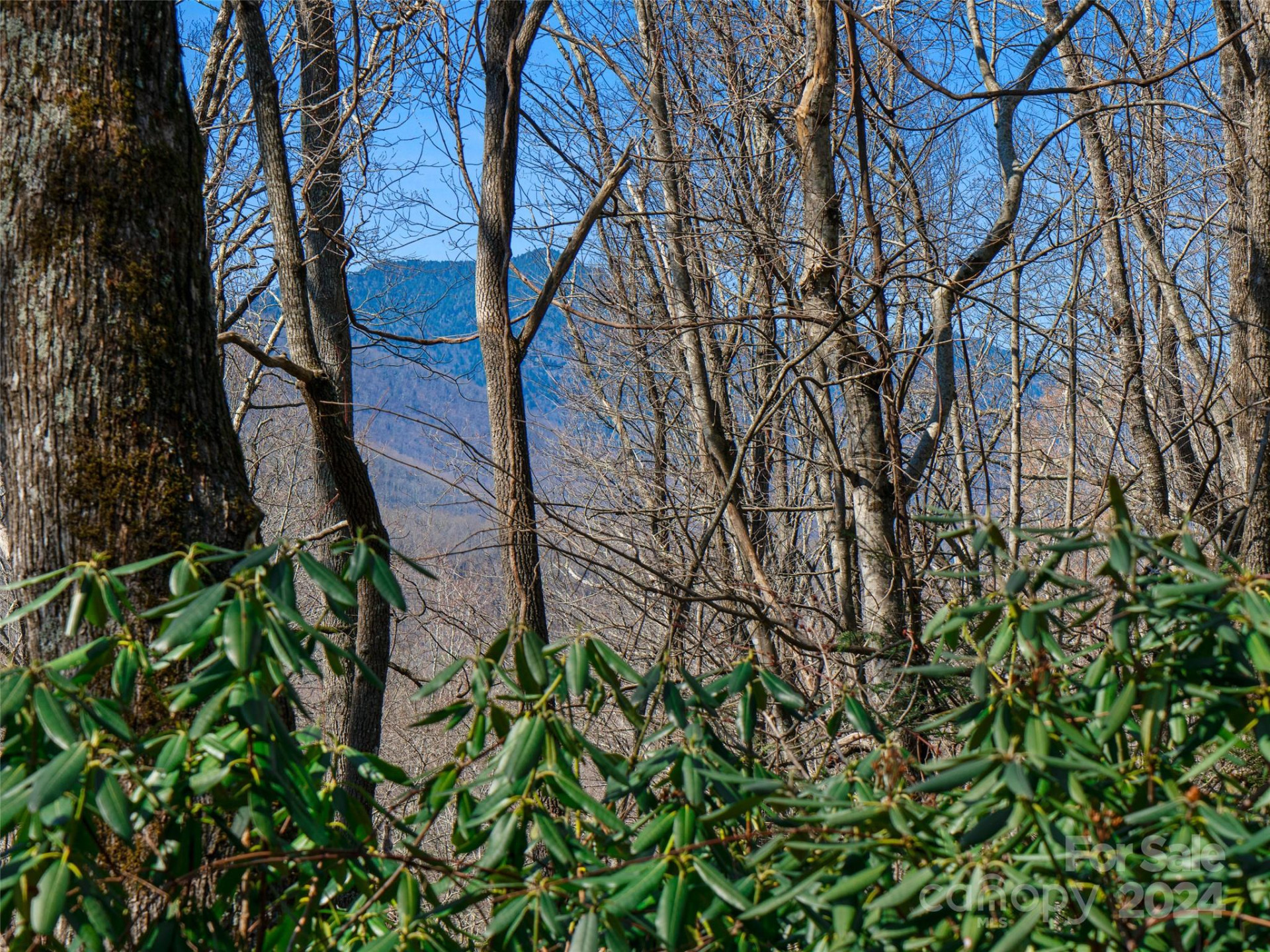 000 Big Ridge Road #62 & 63 - Photo 23