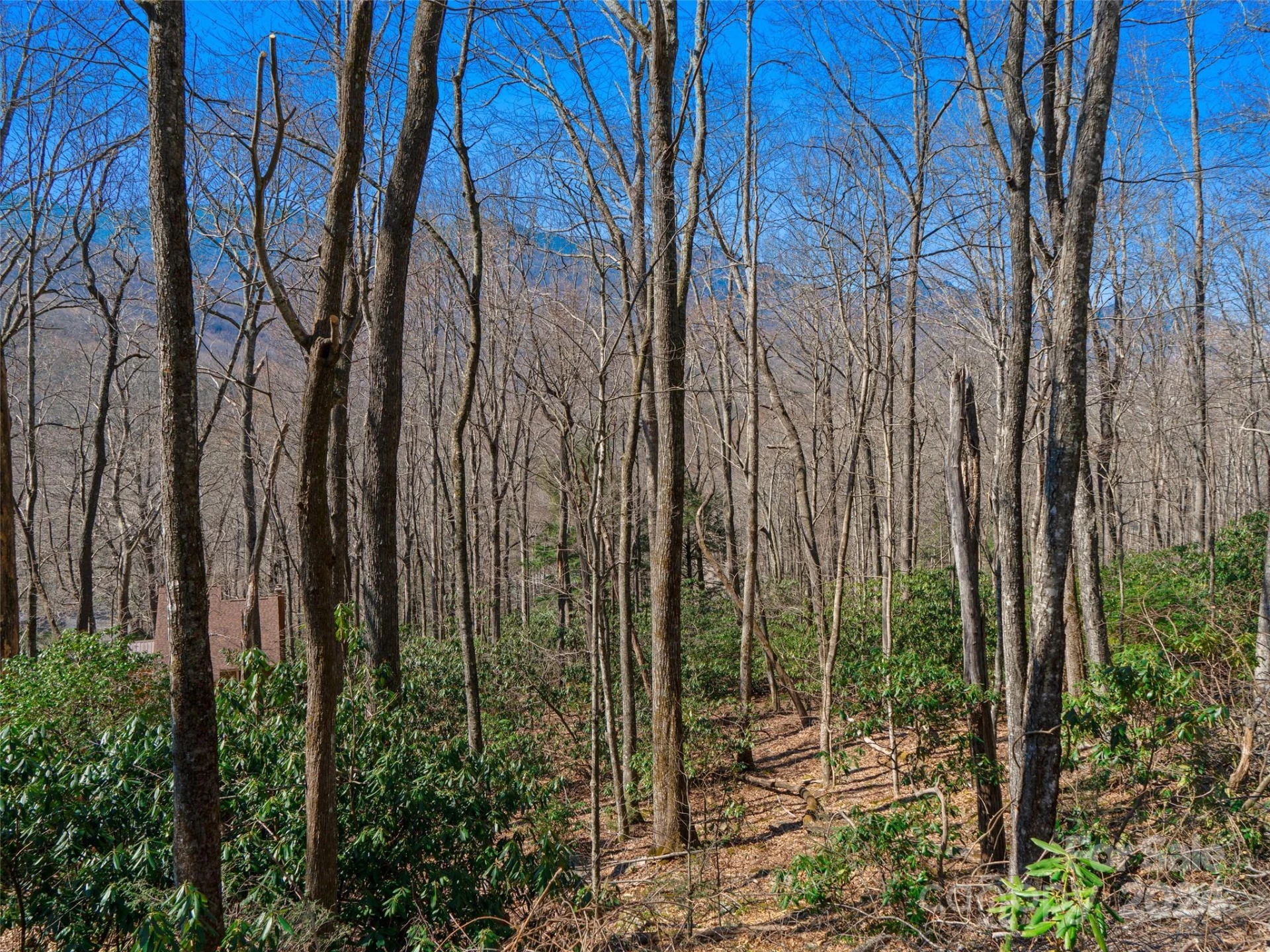 000 Big Ridge Road #62 & 63 - Photo 25