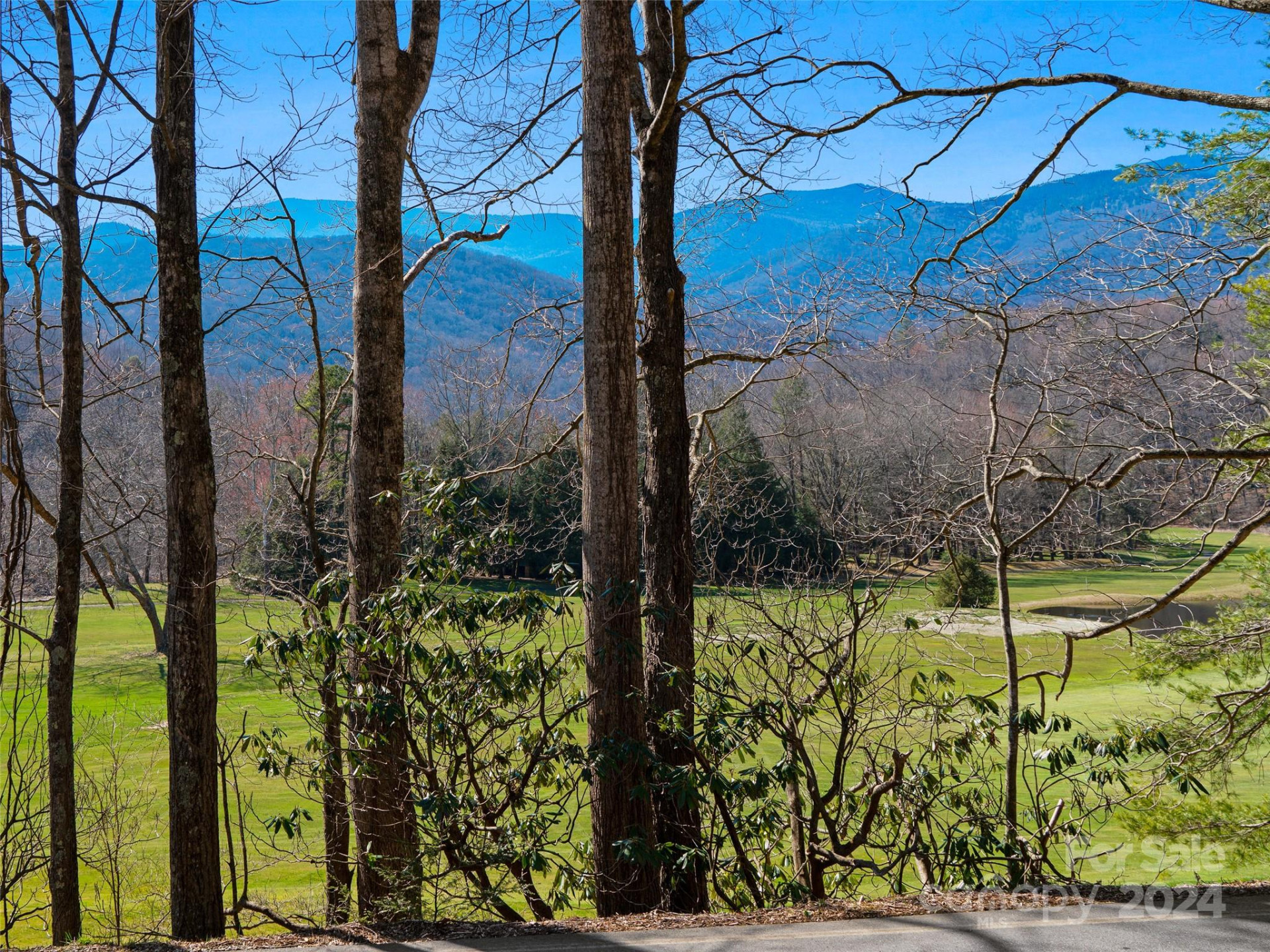 000 Big Ridge Road #62 & 63 - Photo 26