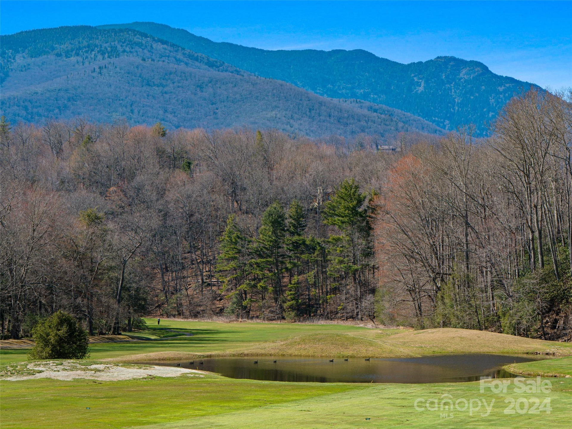 000 Big Ridge Road #62 & 63 - Photo 27