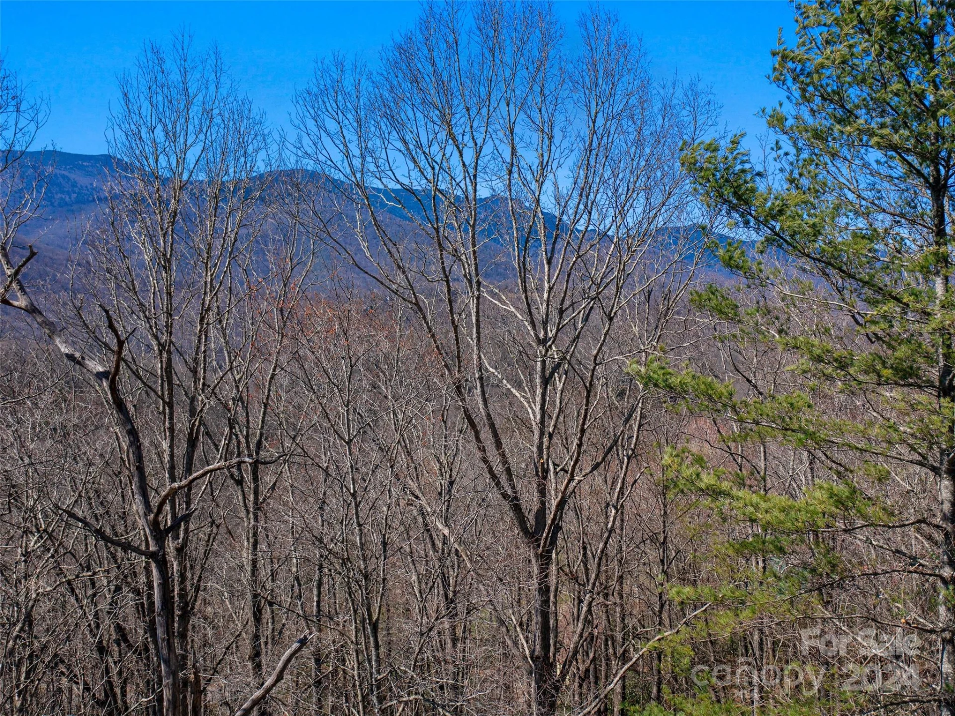000 Big Ridge Road #62 & 63 - Photo 4