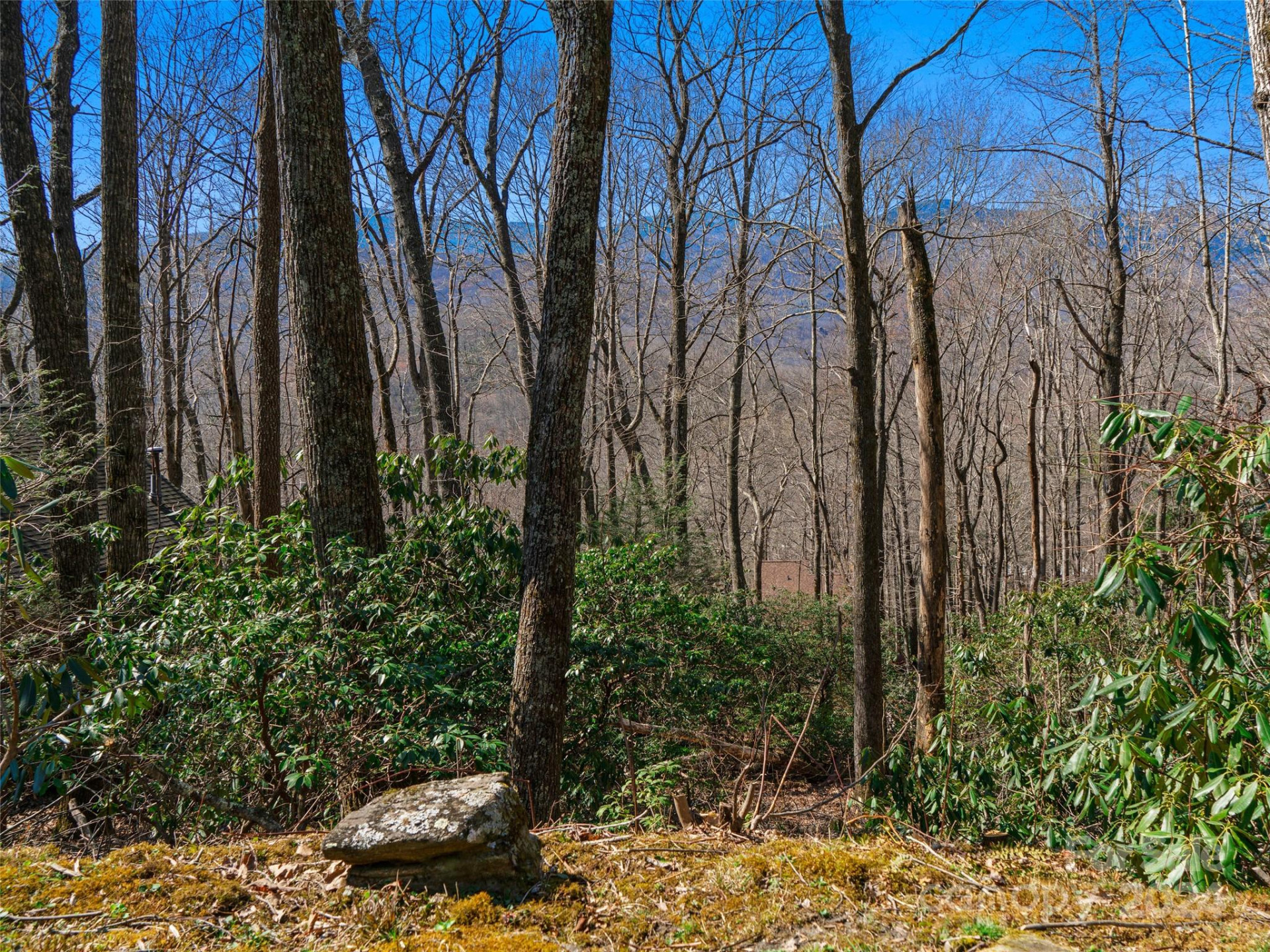 000 Big Ridge Road #62 & 63 - Photo 31