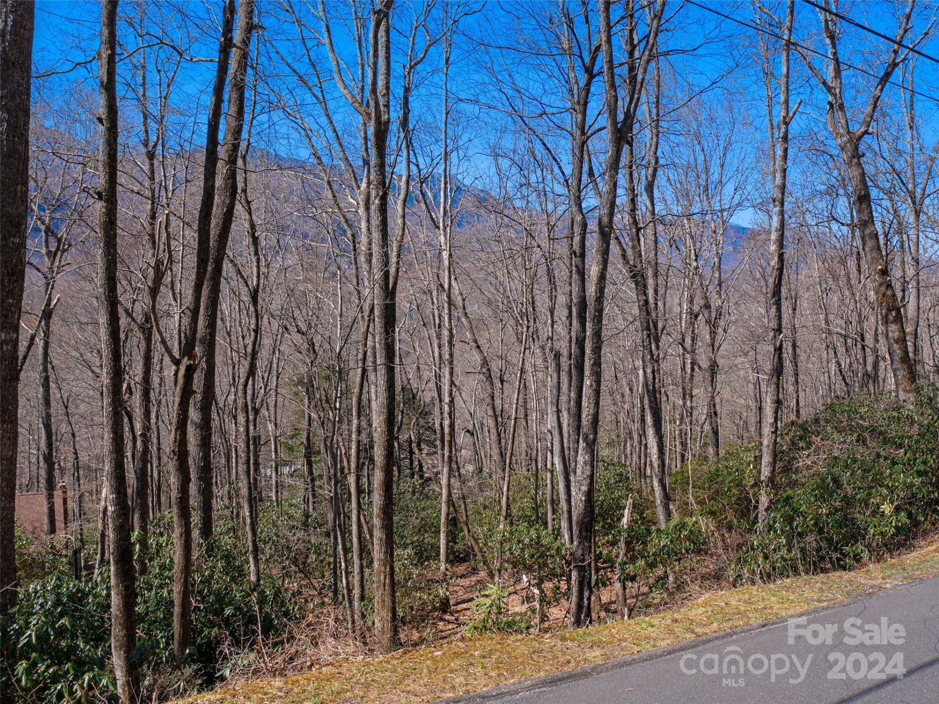 000 Big Ridge Road #62 & 63 - Photo 6