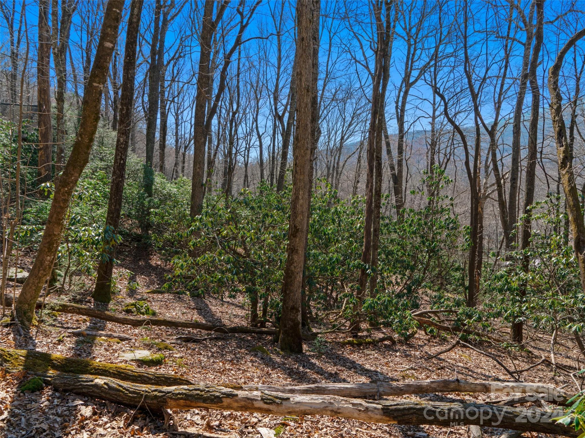 000 Big Ridge Road #62 & 63 - Photo 7