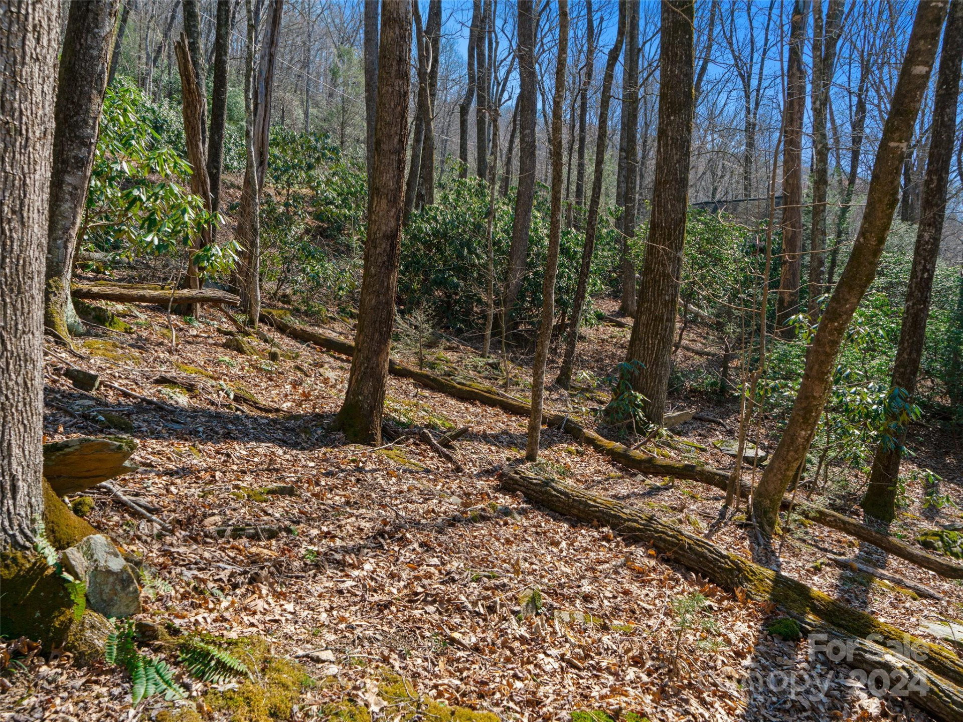 000 Big Ridge Road #62 & 63 - Photo 8