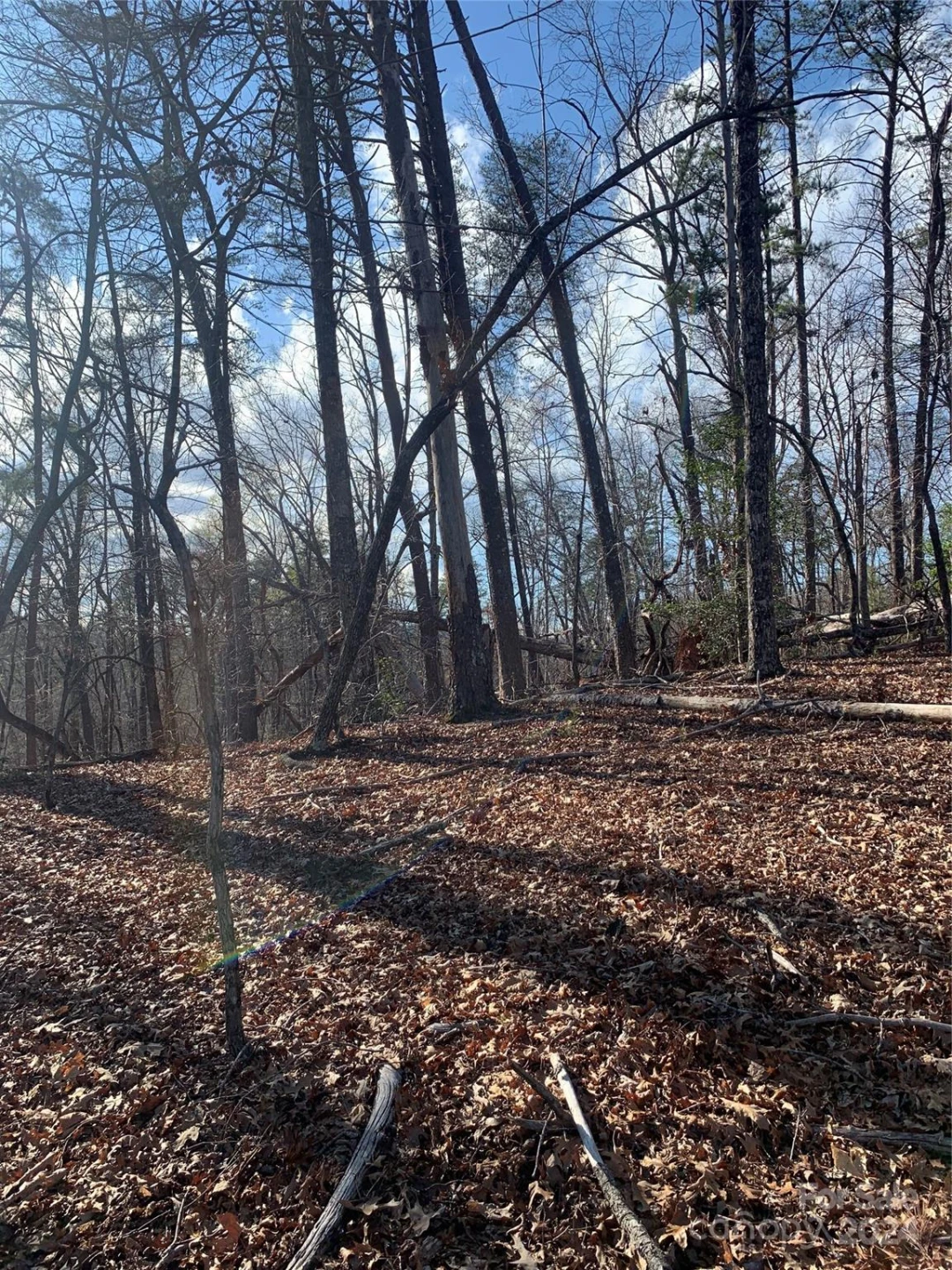 0 Lynch Road - Photo 3