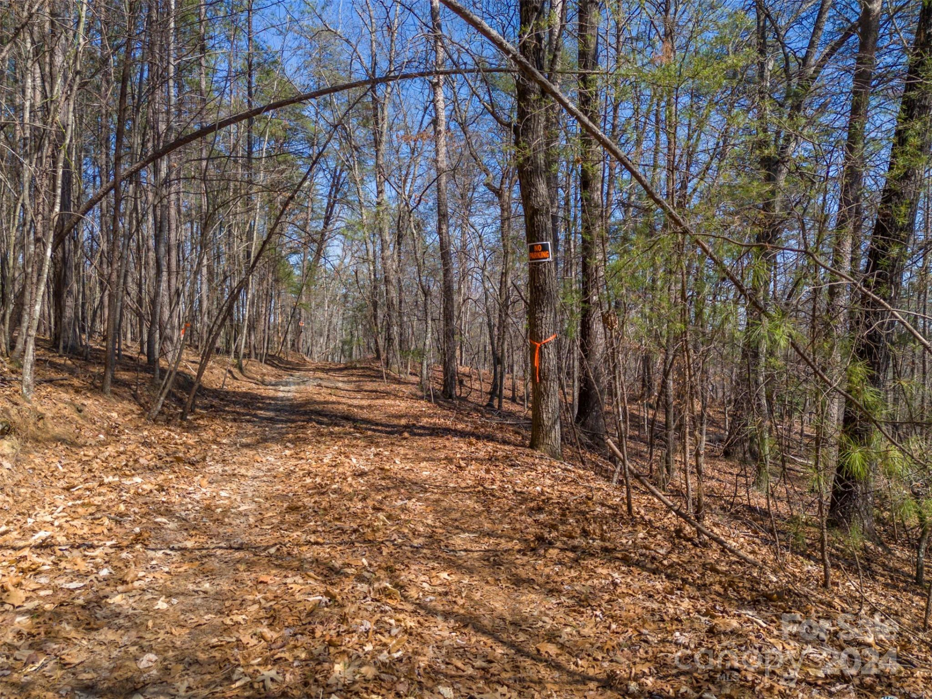 0 Lynch Road - Photo 9