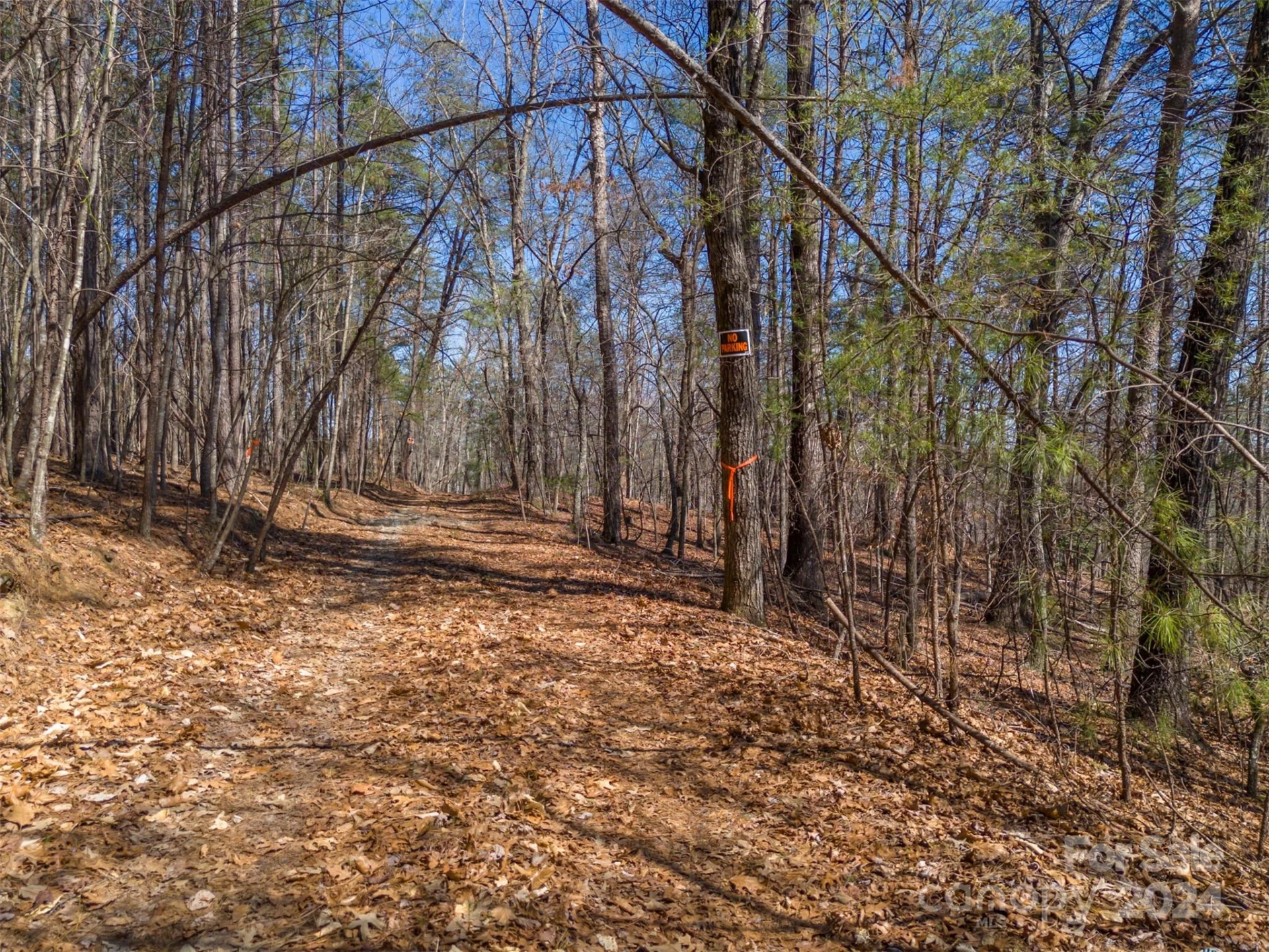 0 Lynch Road - Photo 9