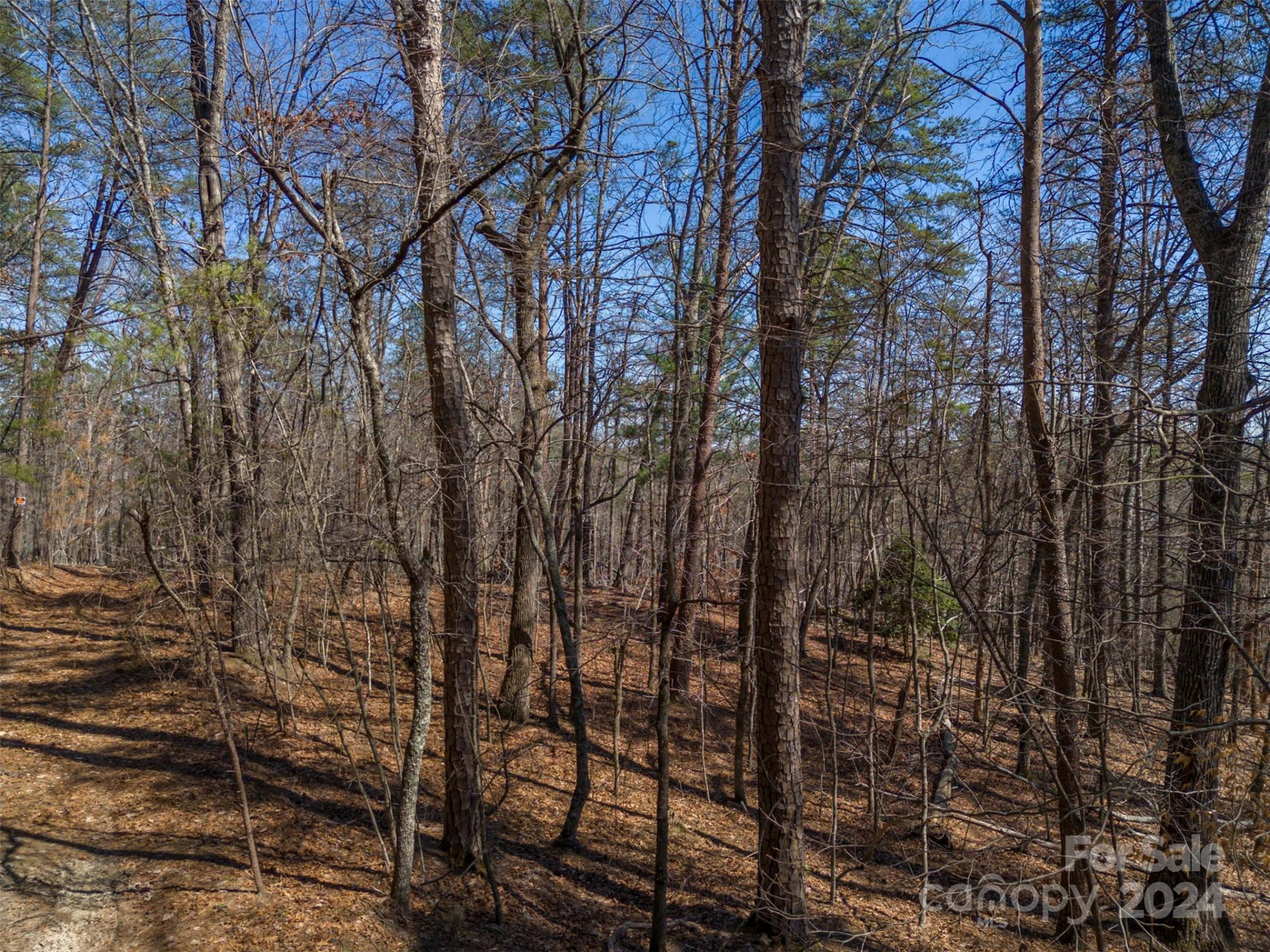 0 Lynch Road - Photo 10