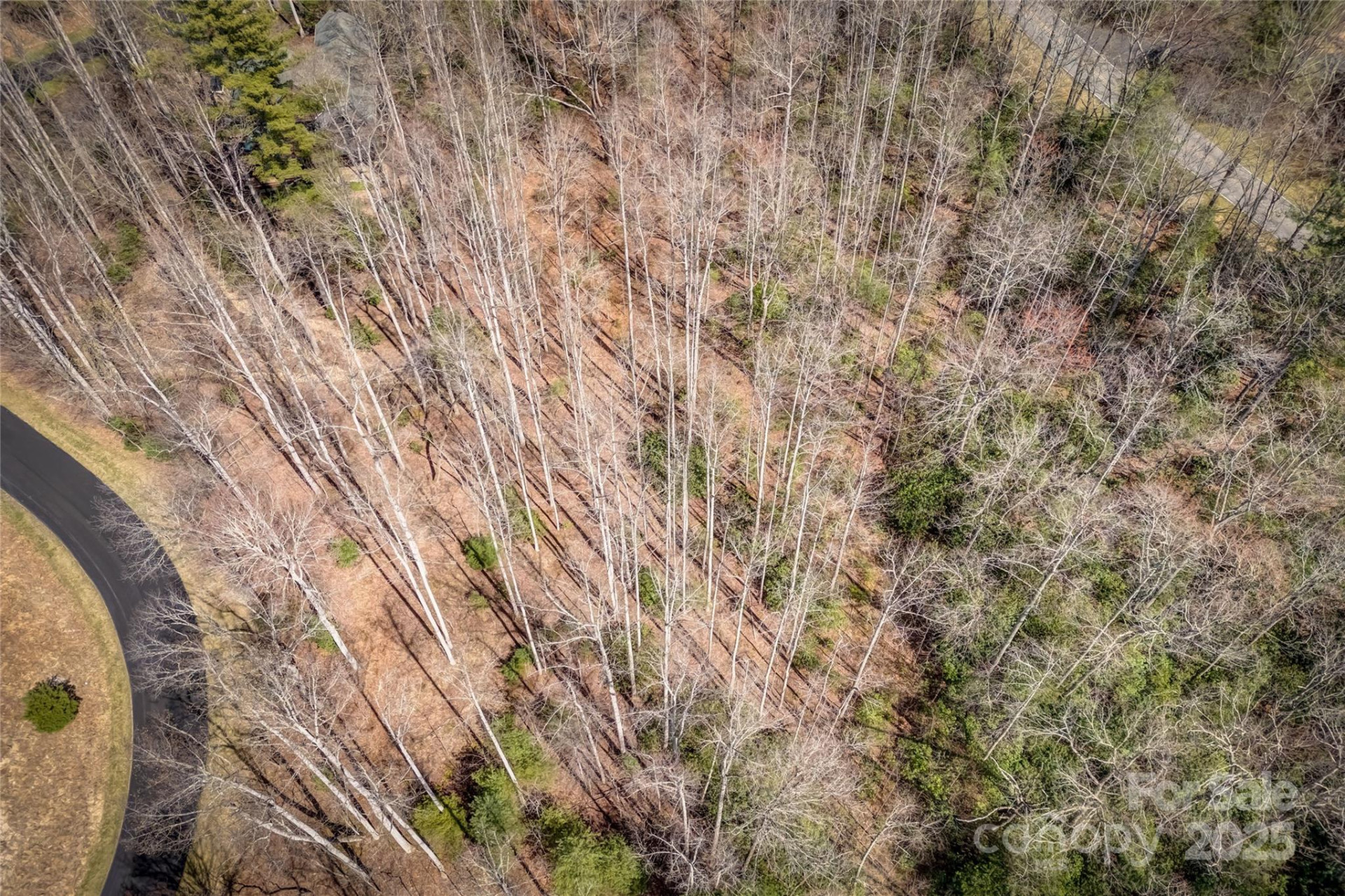 205 Claridge Way - Photo 12