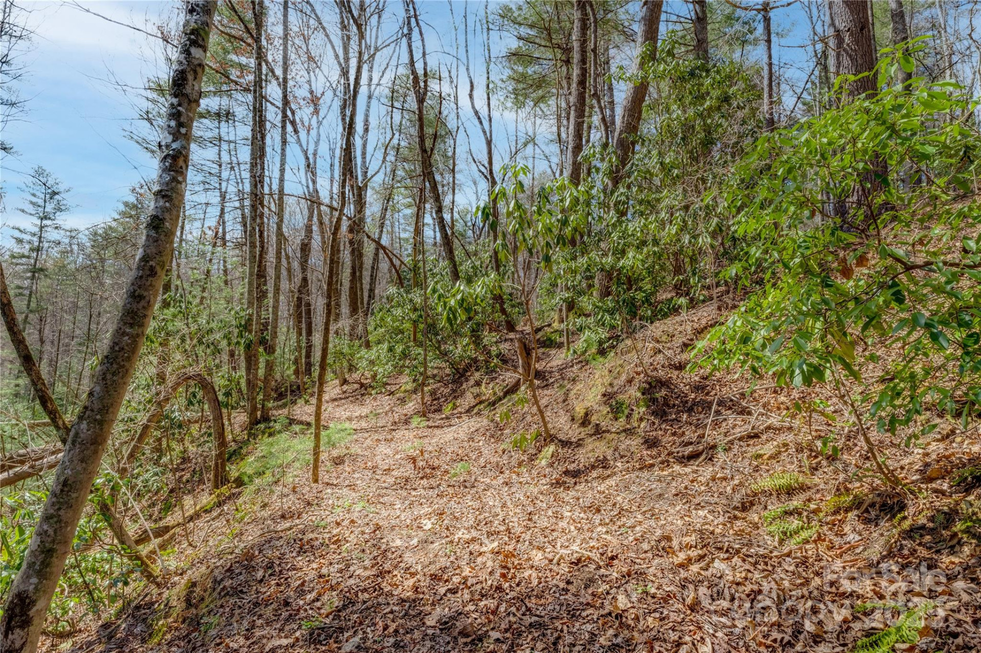 205 Claridge Way - Photo 22