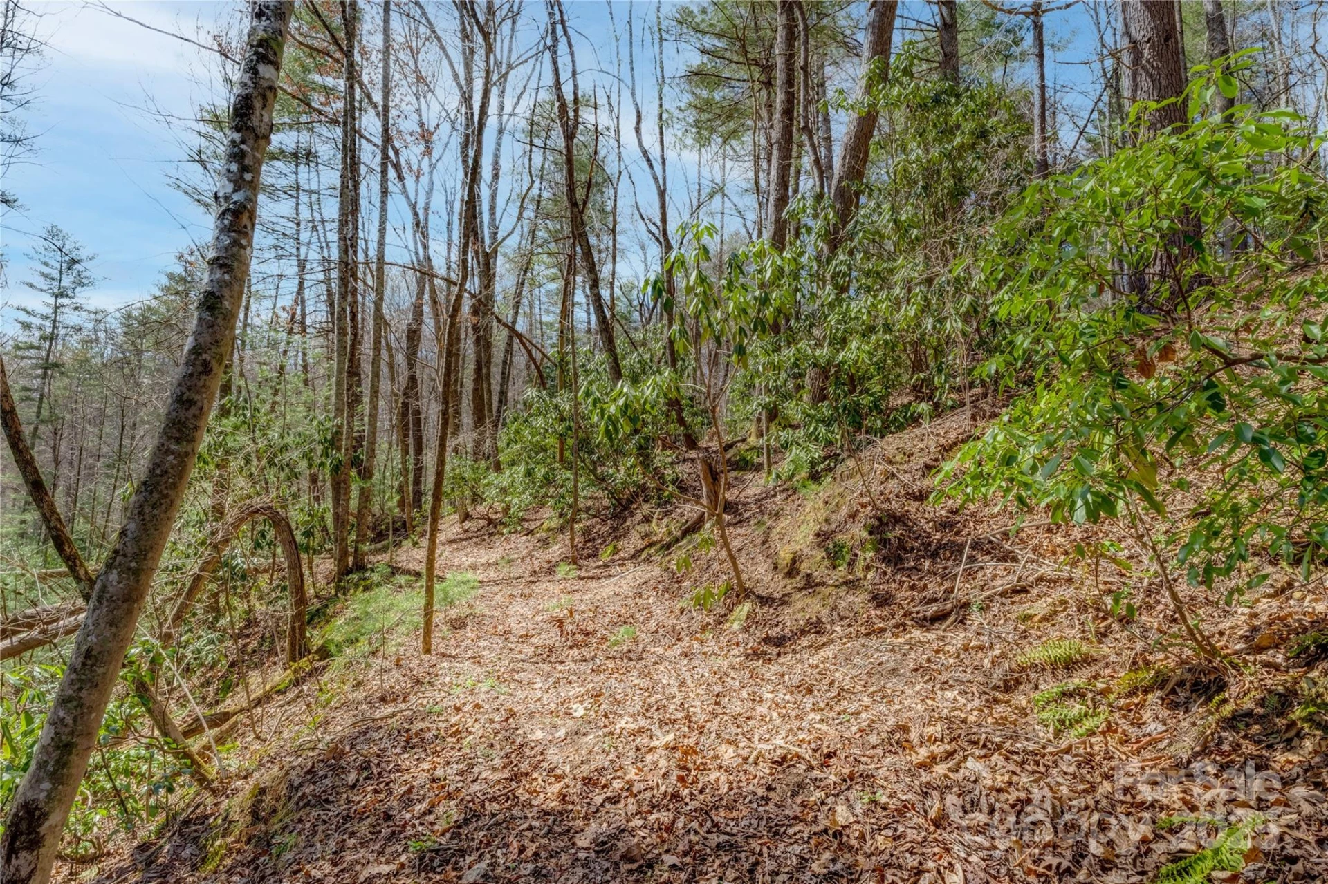 205 Claridge Way - Photo 22