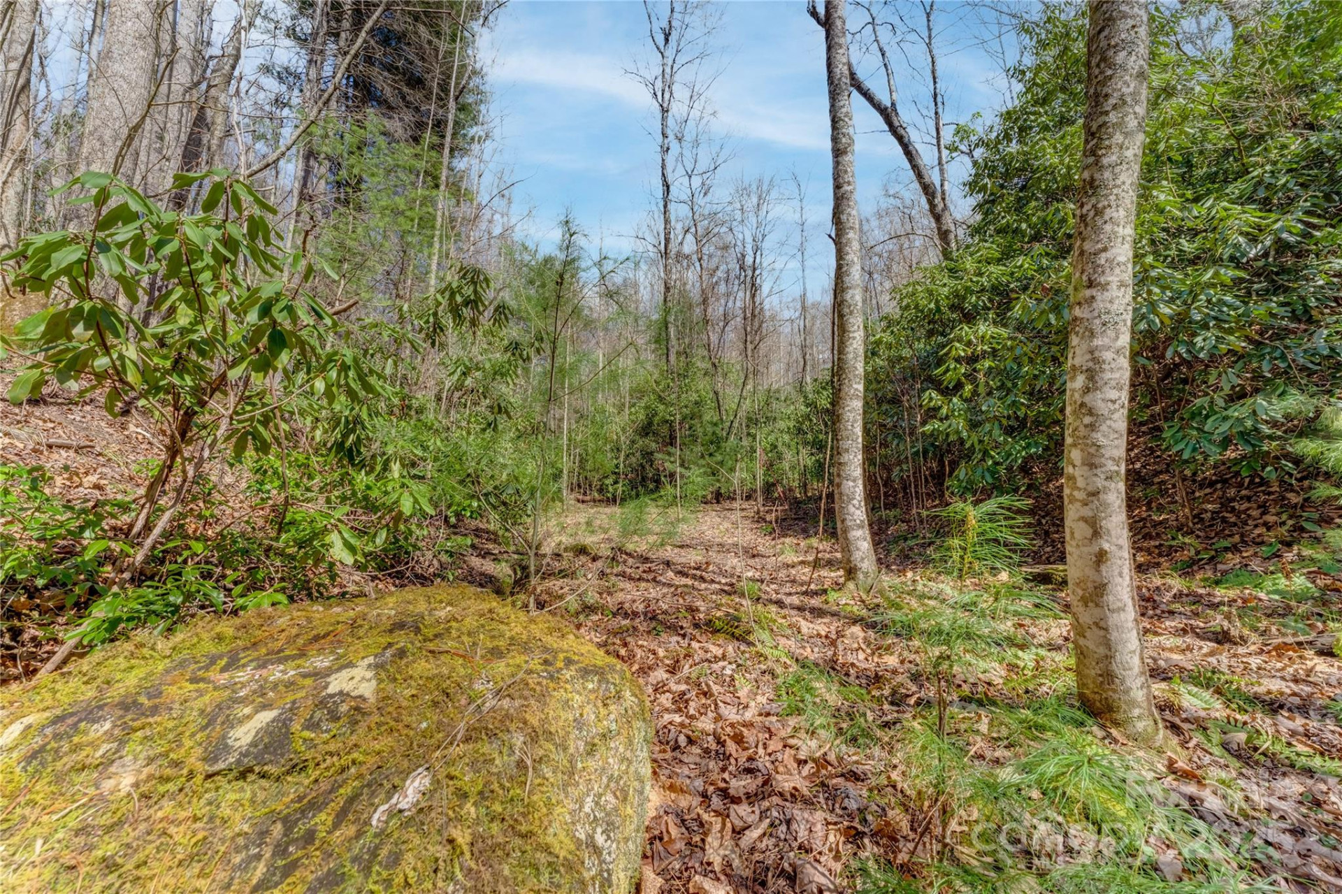 205 Claridge Way - Photo 26