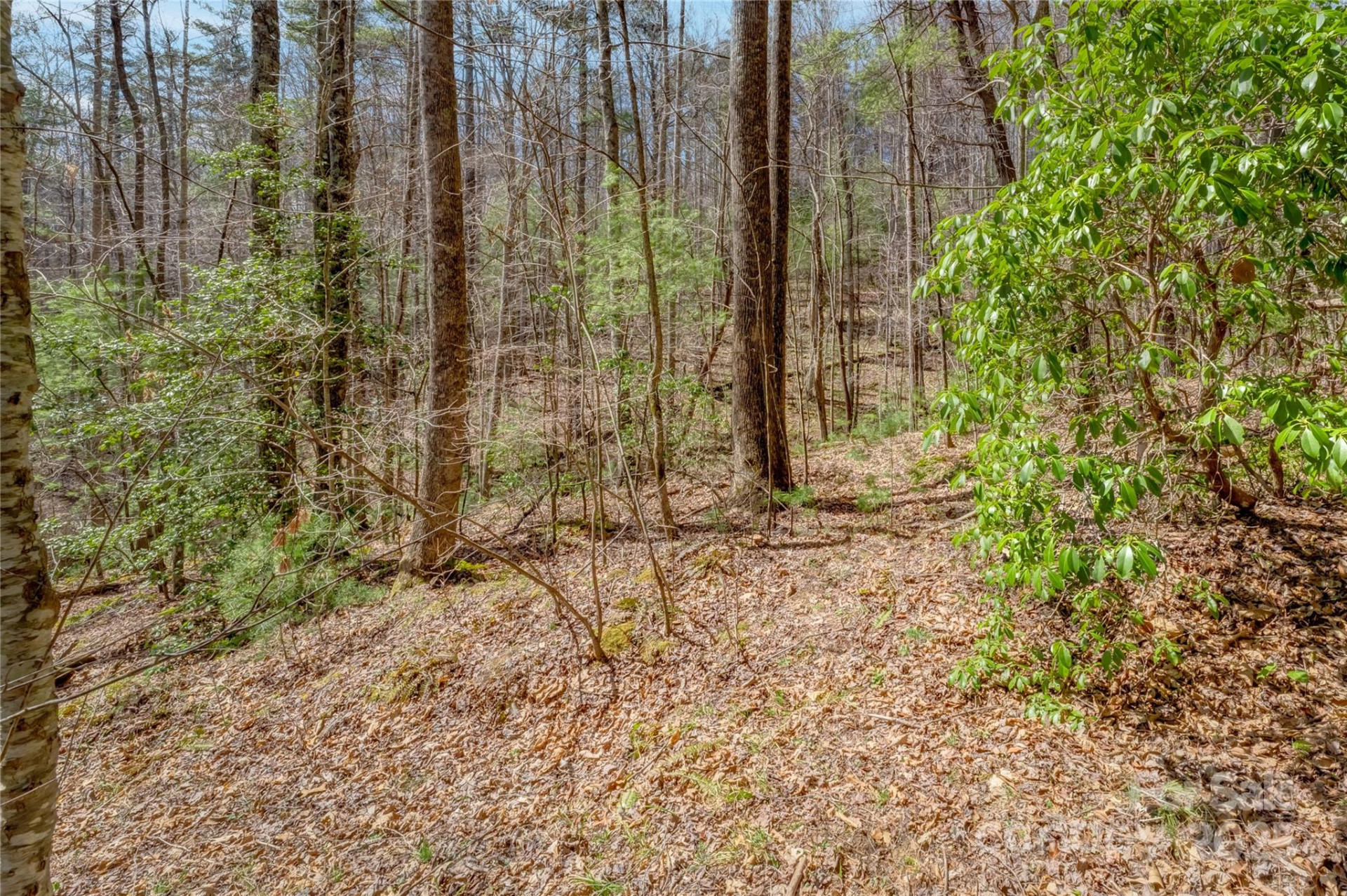 205 Claridge Way - Photo 27